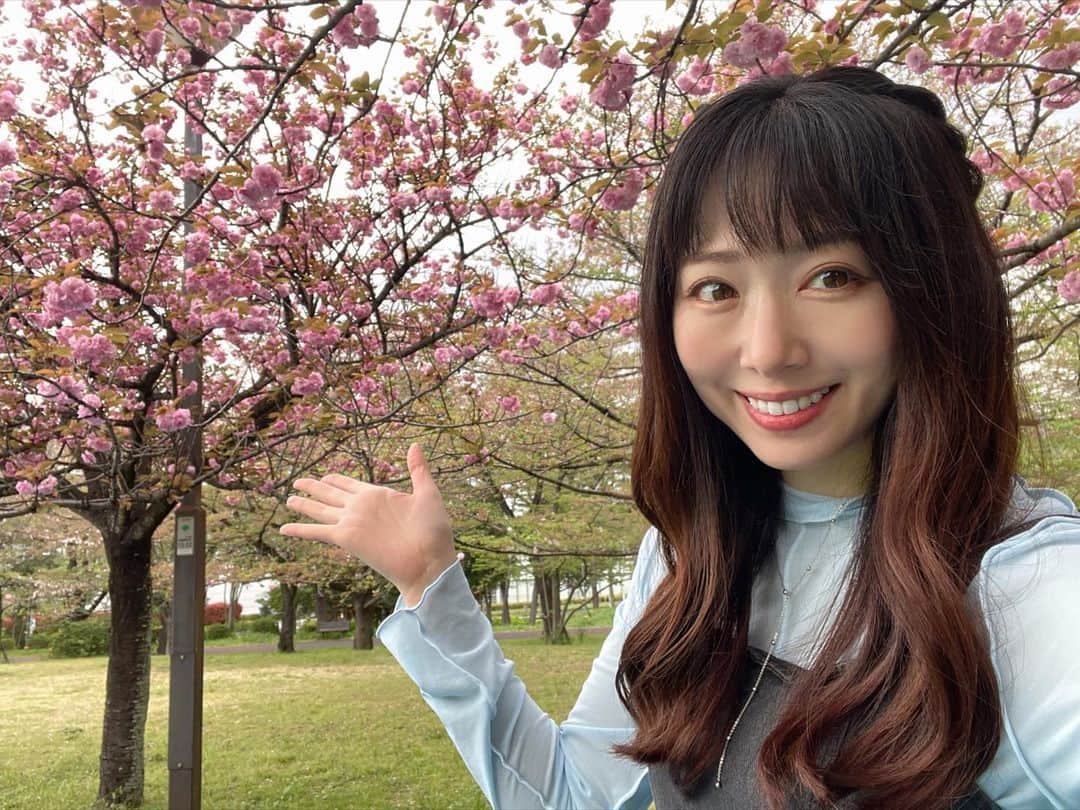 熊谷知花のインスタグラム：「撮影場所の公園で見つけた八重桜🌸 今とっても綺麗だったよ☺️」