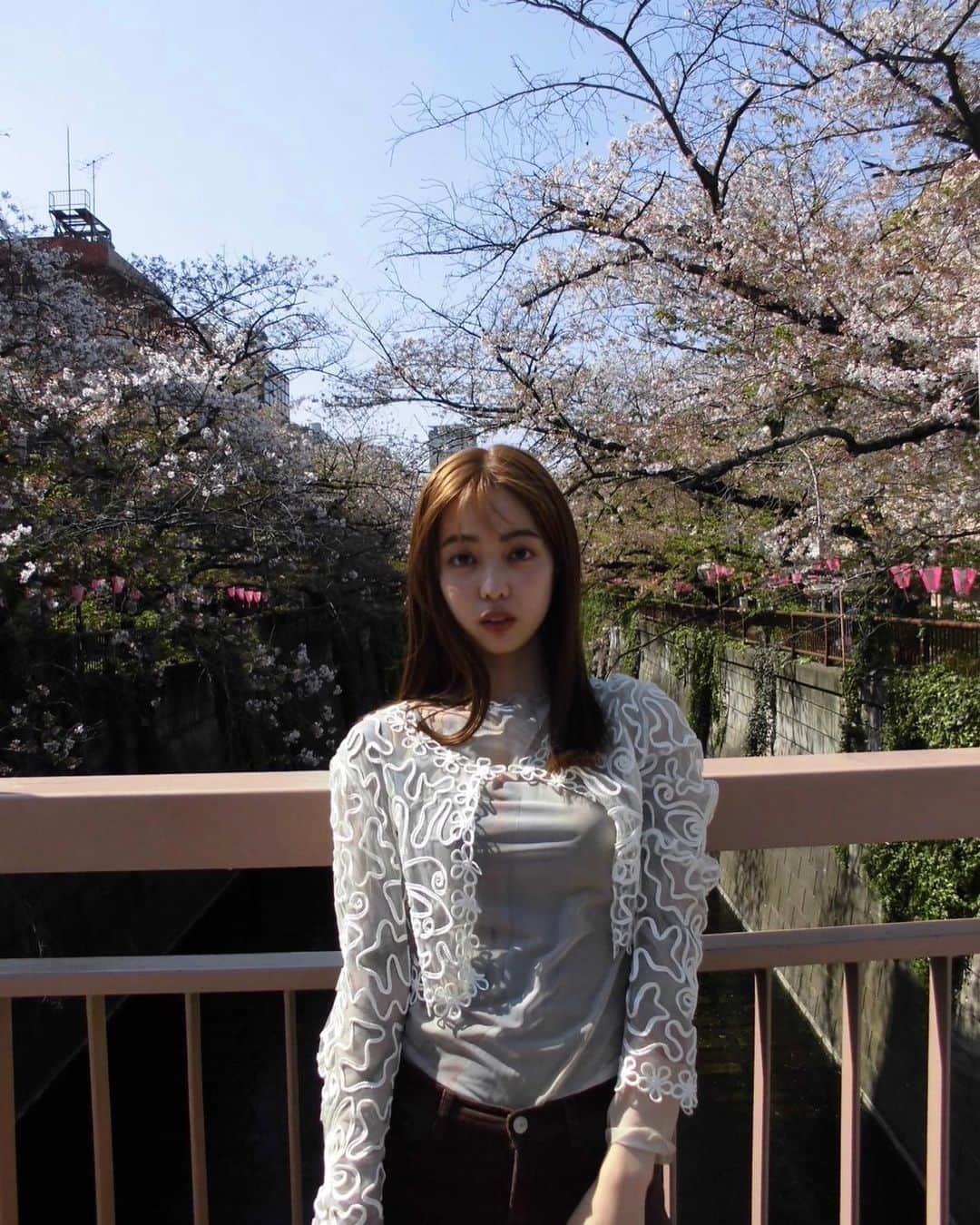 新関碧のインスタグラム：「♡ 仕事で髪色明るい1週間でした！ 載せたい写真がたくさん！ もう明日には戻しますが、、、 桜みたいで楽しかった笑」