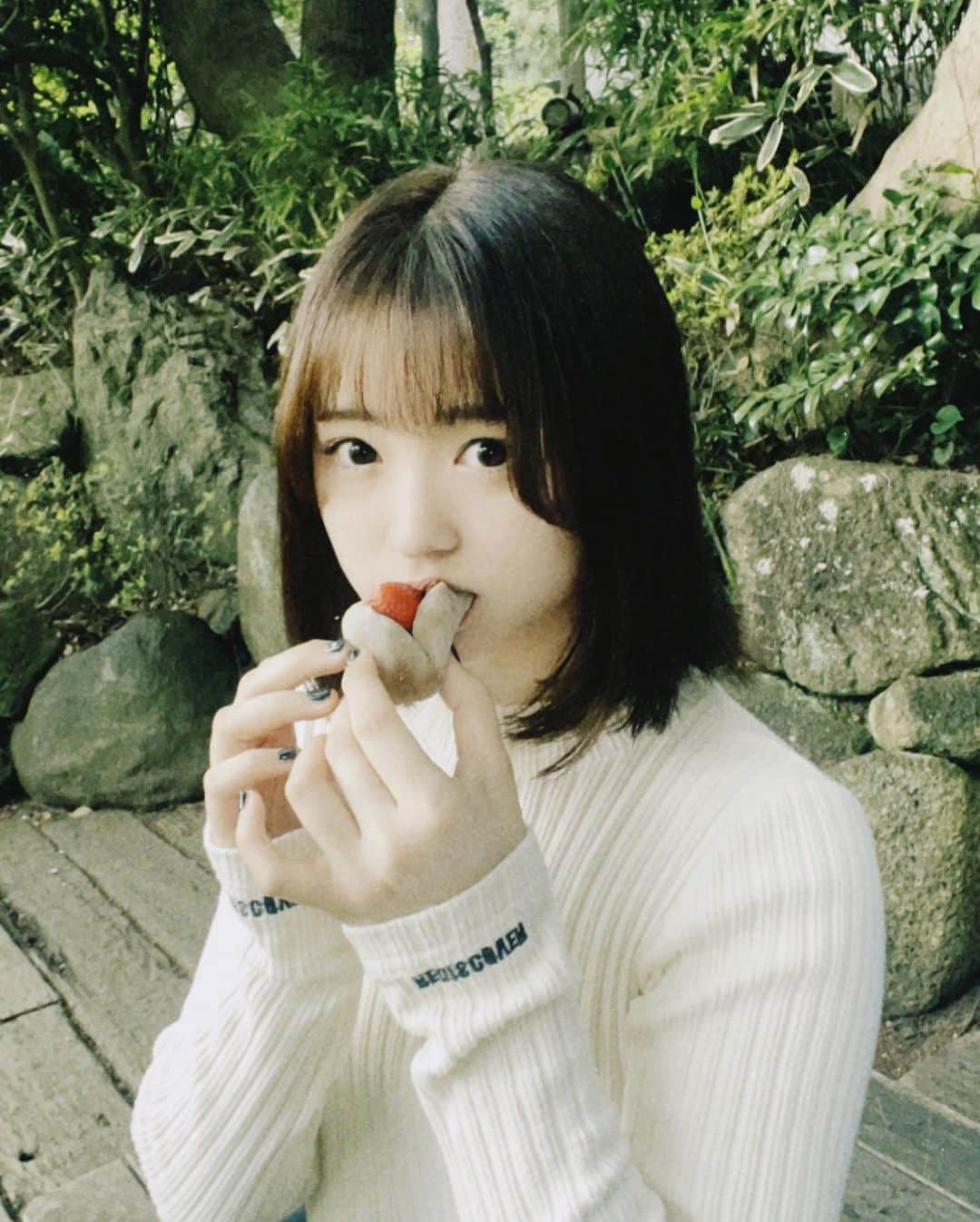 のインスタグラム：「餅とあんこといちご-♡」