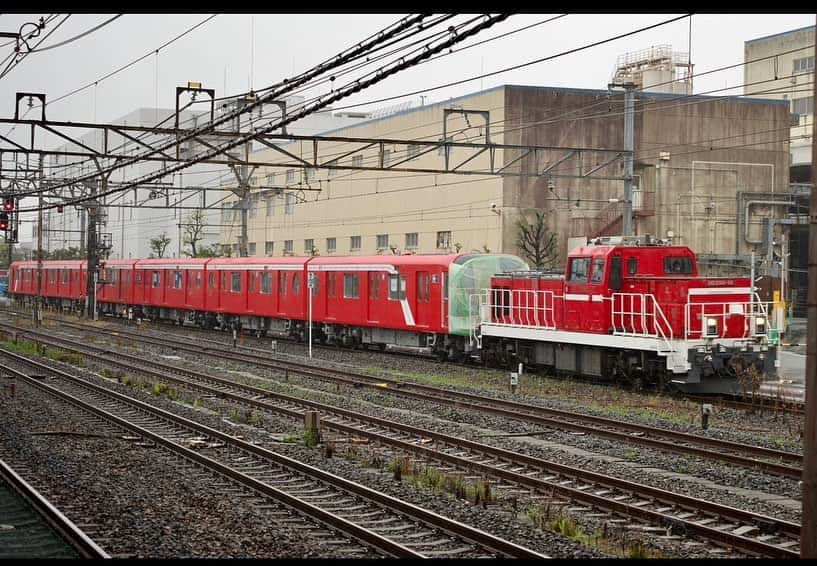 おもちゃんねるんのインスタグラム：「昨日は雨の中JR吹田駅で丸の内線の甲種輸送見てからの〜 神戸でキャンプしてきました👍 新しいテントデビュー戦が雨でしたが結構快適に過ごせました😊 朝は寒かった。💦 んでもって全然写真撮ってないの気がついたんで今日の昼ごはんのカレー載せときます👍 適当に入ったレストランやけどカツカレー美味かった😊」