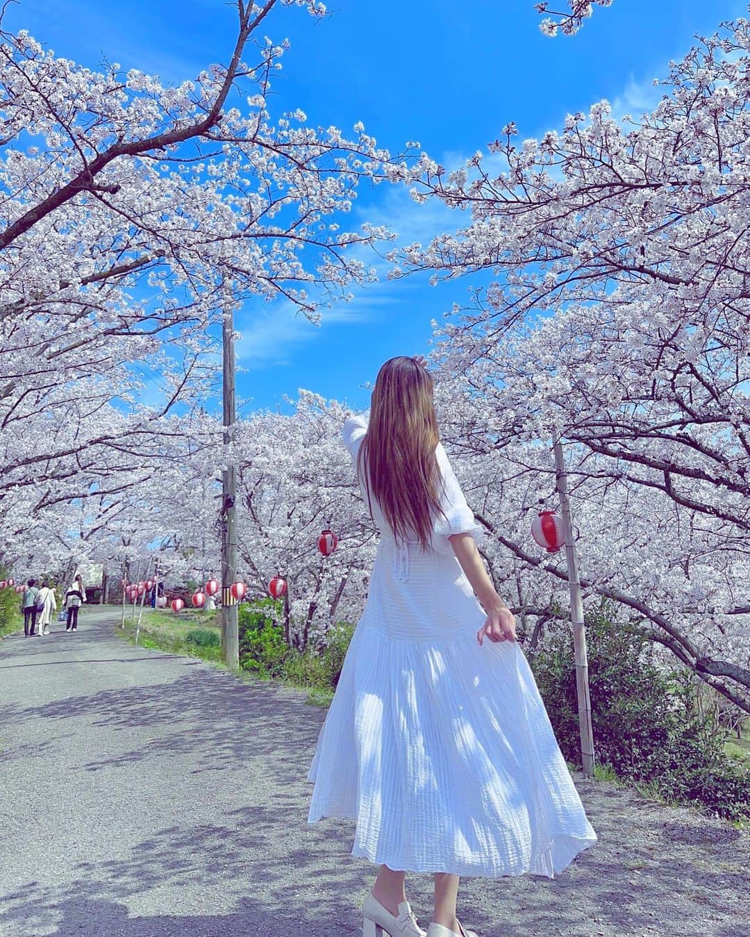 マキろんさんのインスタグラム写真 - (マキろんInstagram)「今年の桜たちありがとう🤗  桜ってほんとあっという間 春の風を感じて 呼吸をゆったりさせたら 時間よとまれ〜って  幸せな時間は なぜあっという間に感じるんだろう 私は幸せな時間ほど長く感じたいのにな、、、🥰  #相対性理論   🌸🌸🌸🌸🌸🌸🌸🌸🌸  #令和のアラフィフ#山内智恵 #波動を上げる方法  #引き寄せの法則実践中」4月8日 22時40分 - chieyamauchi