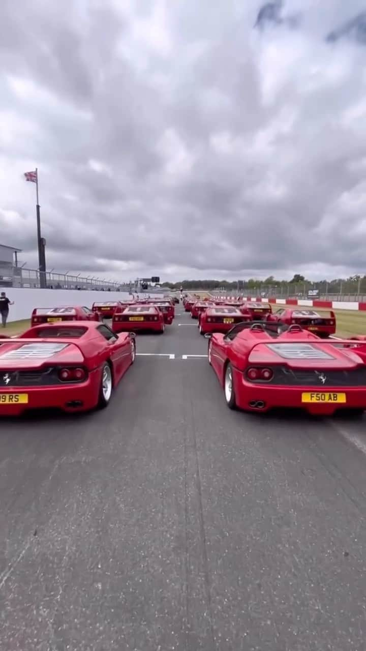 Dirk A. Productionsのインスタグラム：「CAPTION THIS! 😍🔥🏁 . . . #Reel via @scdsecretmeet @shmee150 #Ferrari #F50 #F40 #F40LM #Rare #Perfection #Ferraris #Racetrack」