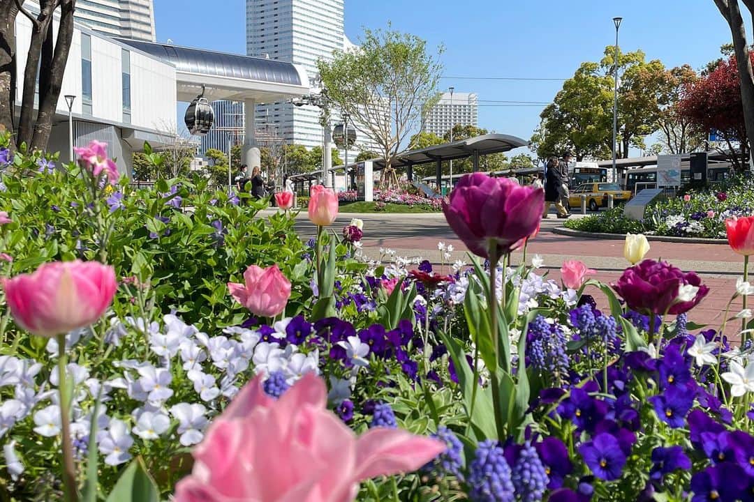 横浜ベイホテル東急［公式］さんのインスタグラム写真 - (横浜ベイホテル東急［公式］Instagram)「// 「ガーデンネックレス横浜」開催記念 お花に彩られたスペシャルランチは、 地元•神奈川食材もふんだんに使用しています。 華やかでおいしいかながわの味わいを 色とりどりの花に囲まれたみなとみらいで 存分にご堪能ください。 . . ++++++++++++++++++++++++ 春のインスタ投稿キャンペーン実施中‼️ ホテルでの思い出の写真をご投稿ください。 ++++++++++++++++++++++++ ❶ ＠yokohamabayhoteltokyuを   フォロー&タグ付け ❷ #ベイ東急de春さんぽ    #横浜ベイホテル東急    2つのハッシュタグをつけて📷を投稿！ . #神奈川 #地産地消  #スーツァンレストラン陳  #ガーデンネックレス横浜  #やまゆりポーク  #エディブルフラワー  #flower #kanagawa  #szechwanrestaurant陳  #foodstagram  #みなとみらい #横浜  #みなとみらい線フォト散歩  #にしまろ探検隊  #yokohamabayhoteltokyu  #myyokohama」4月8日 22時49分 - yokohamabayhoteltokyu