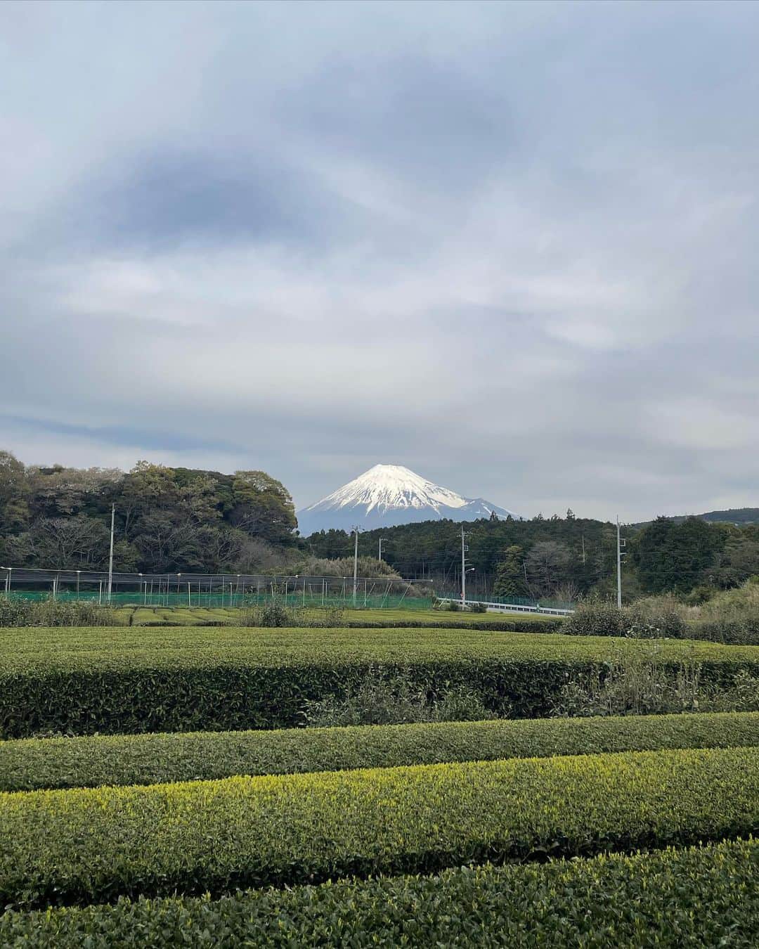 サキさんのインスタグラム写真 - (サキInstagram)「この間一泊二日で大好きな友達と静岡に行ってきたよ🗻初めてこんな近くで富士山見れて感動の嵐😭✨✨✨ 自然最高‼︎地元の人もこんな綺麗な富士山見れるの珍しいよお〜って言ってたぐらい素晴らしかった🥺‼︎  そしてこちらも人生初のパラグライダー‼︎絶景で文句なしの体験やった🥺 飛ぶ前心臓ドキドキしてきたとかちびりそうやったのに乗った瞬間友達にこわないで〜って余裕ぶるあたりwwWWW #2枚目 #3枚目動画あり  スタッフのおねーさんもおっちゃんも皆さん親切でほんまに楽しかった‼︎🥹🤝✨  旅行の写真ありすぎるからストーリーで色々更新させてね〜😊」4月8日 22時58分 - 88_gira_88