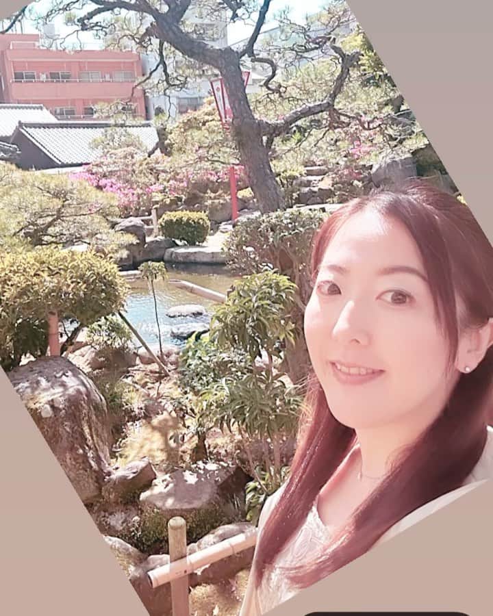 前田真里のインスタグラム：「#春雨まつり　#花月 へ 行ってまいりました🌸  創業381年　長崎の文化、伝統を大切にされている場で  粋な方々が集われ、粋な舞、演奏、 美味しい春のお弁当、枡酒。 賑わいました🌸  お庭の桜の花びらが 風にのってひらひら 舞っていて幻想的でした〜🌸  #長崎検番 今月デビューされるすず花さん 美しかったです🌟」
