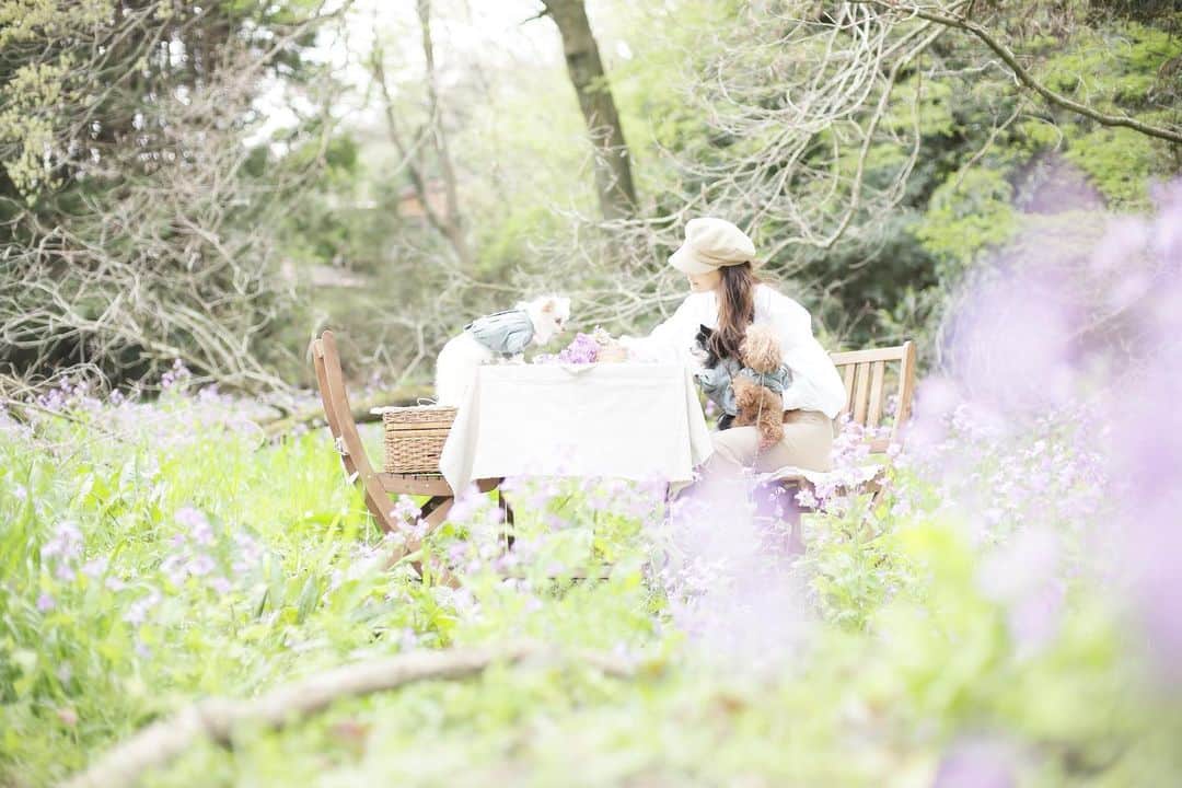 mamiのインスタグラム：「腸内環境を整える  理想的な腸内細菌のバランスは 善玉菌:悪玉菌:日和見菌 3:1:9 と言われています。  現代の日本人は 戦後の食習慣の変化により グルテンを多く含む小麦や 牛乳、卵、大豆油など それまであまり食べたことのなかった食品を頻繁に摂るようになったことで 腸内細菌のバランスが崩れ アトピー性皮膚炎や 花粉症などのアレルギー疾患が とても多くなっています。  では腸内環境を整えるには どのようにすればよいのか  ◇和食中心の食生活 ◇よく噛む ◇食品添加物を減らす ◇痛み止めや抗生物質の乱用を避ける ◇深呼吸でストレス緩和 ◇自分に合った発酵食品を摂る  これらを上手に活用して 腸内環境を整えていきたいですね(^^)」