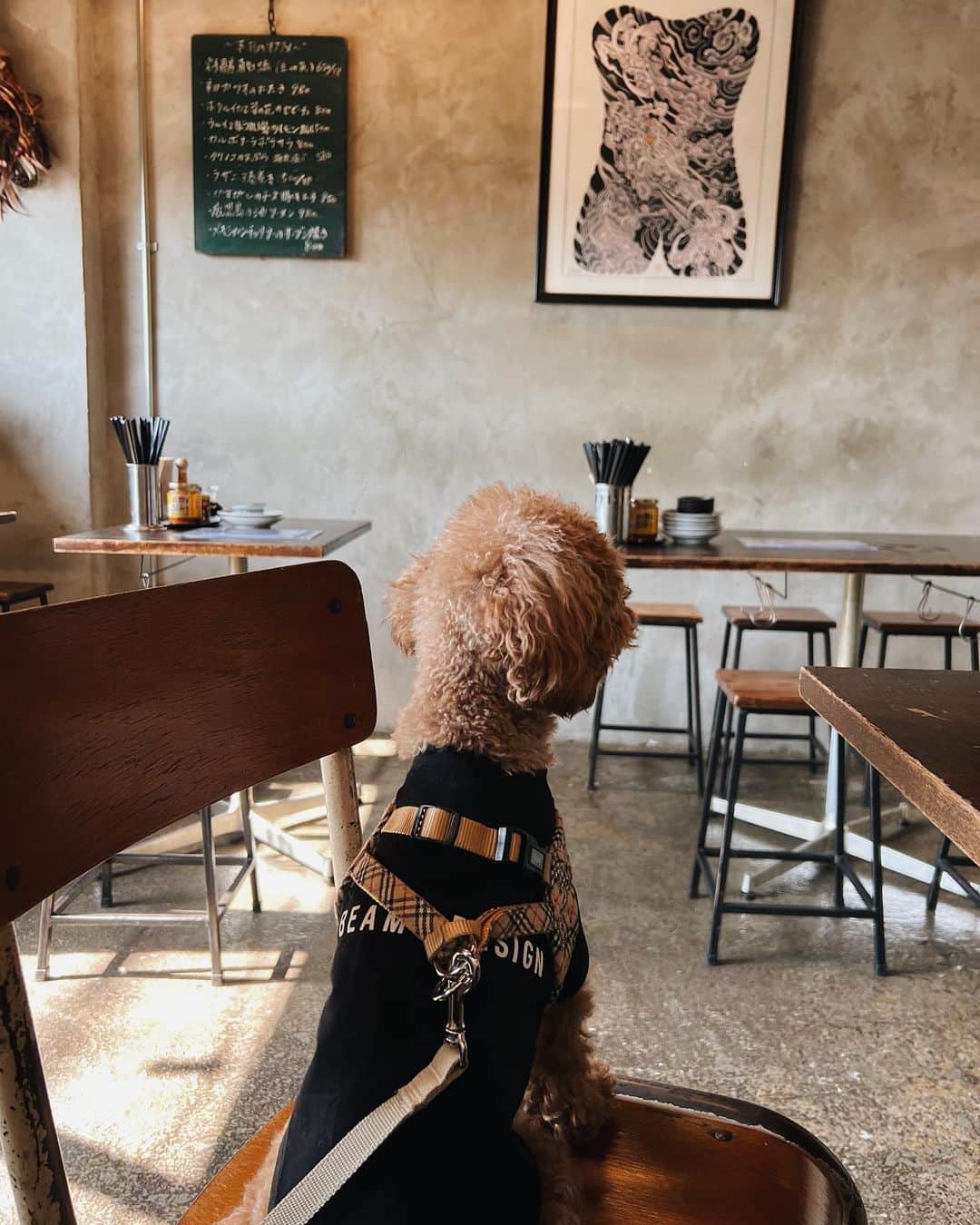 篠田このかのインスタグラム：「🐶🍻」
