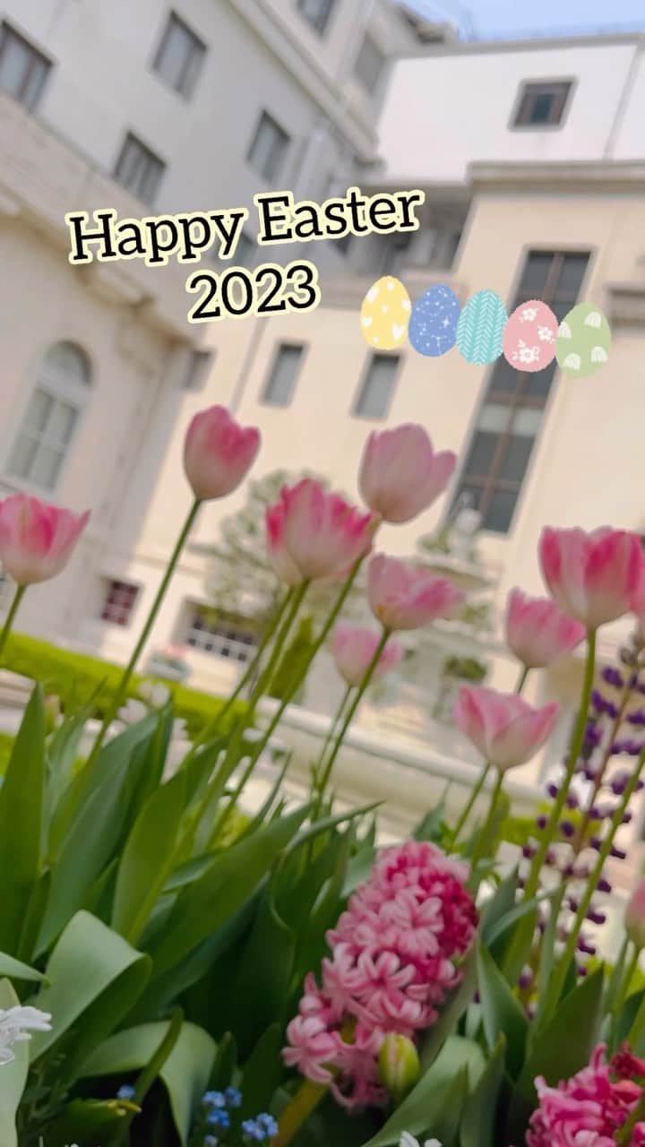 【公式】ホテルニューグランドのインスタグラム：「＊ Happy Easter !! 素敵な1日をお過ごしください✨     Wishing you a Happy Easter that is just as bright and joyful as Spring！   ———————————————————— ＜イースターエッグハント2023＞ ■～4/26（水）まで ■チェックイン 14:00 / チェックアウト 11:00 ————————————————————   #ホテルニューグランド #横浜 #横浜ホテル #客室 #横浜時間 #思い出 #ホカンス #家族旅行 #旅行 #女子旅 #女子会 #イースター #イースターエッグハント #卵探し #卒業旅行 #みなとみらい #風景 #神奈川観光 #横浜観光 #国内旅行 #hotelnewgrand #yokohama #hotel #trip #stay #easter #happyeaster」