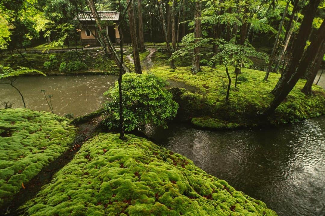 Michael Yamashitaのインスタグラム：「Japanese gardens are best experienced in the rain. #japanesegardens #japanesegardensofinstagram #kyoto」