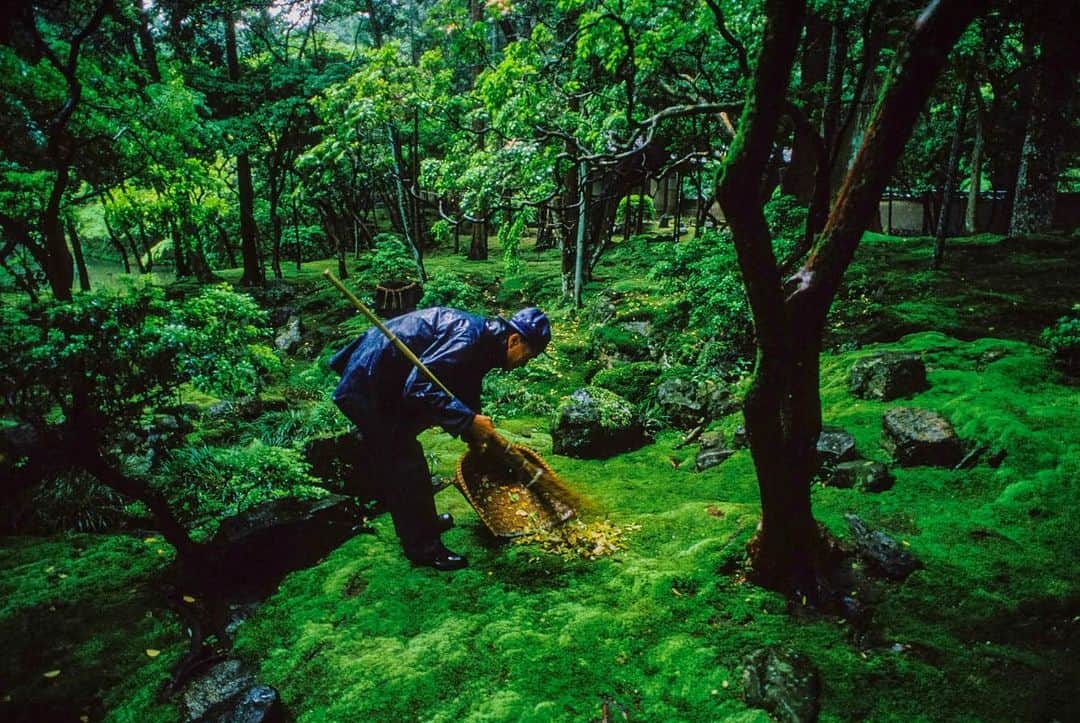 Michael Yamashitaさんのインスタグラム写真 - (Michael YamashitaInstagram)「Japanese gardens are best experienced in the rain. #japanesegardens #japanesegardensofinstagram #kyoto」4月9日 9時48分 - yamashitaphoto