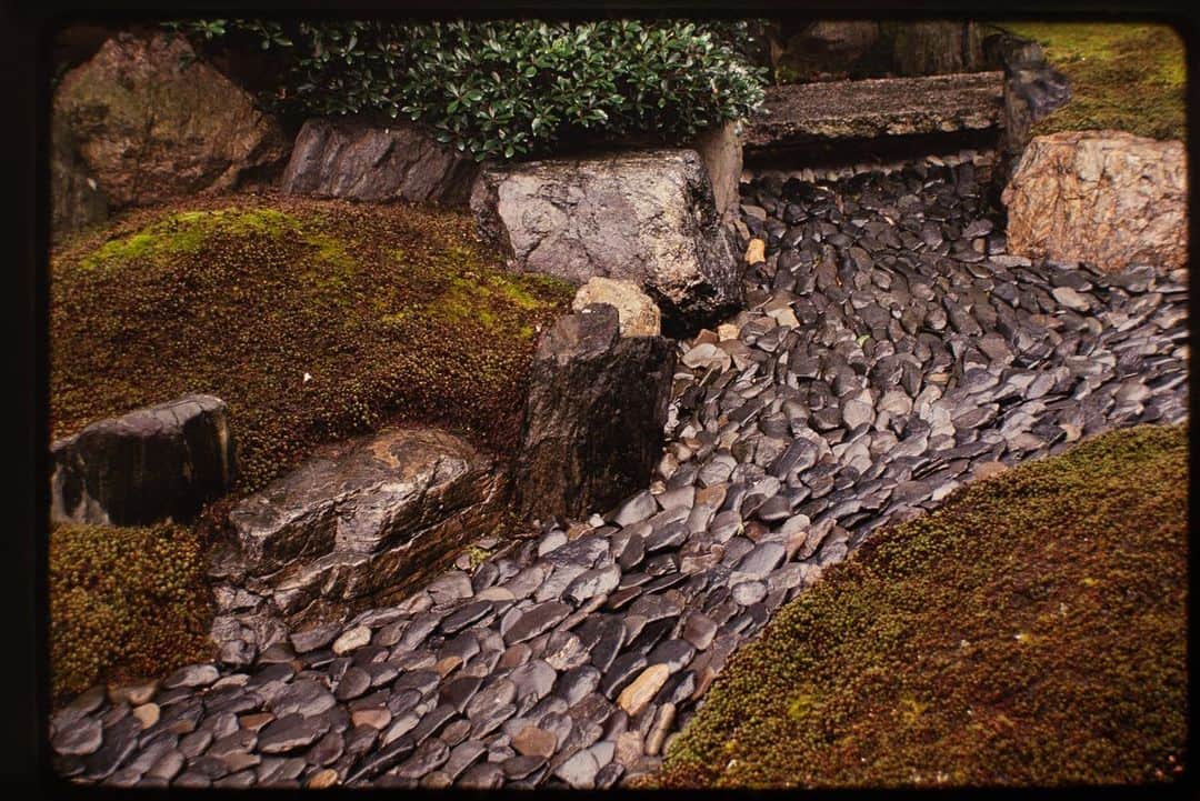 Michael Yamashitaさんのインスタグラム写真 - (Michael YamashitaInstagram)「Japanese gardens are best experienced in the rain. #japanesegardens #japanesegardensofinstagram #kyoto」4月9日 9時48分 - yamashitaphoto
