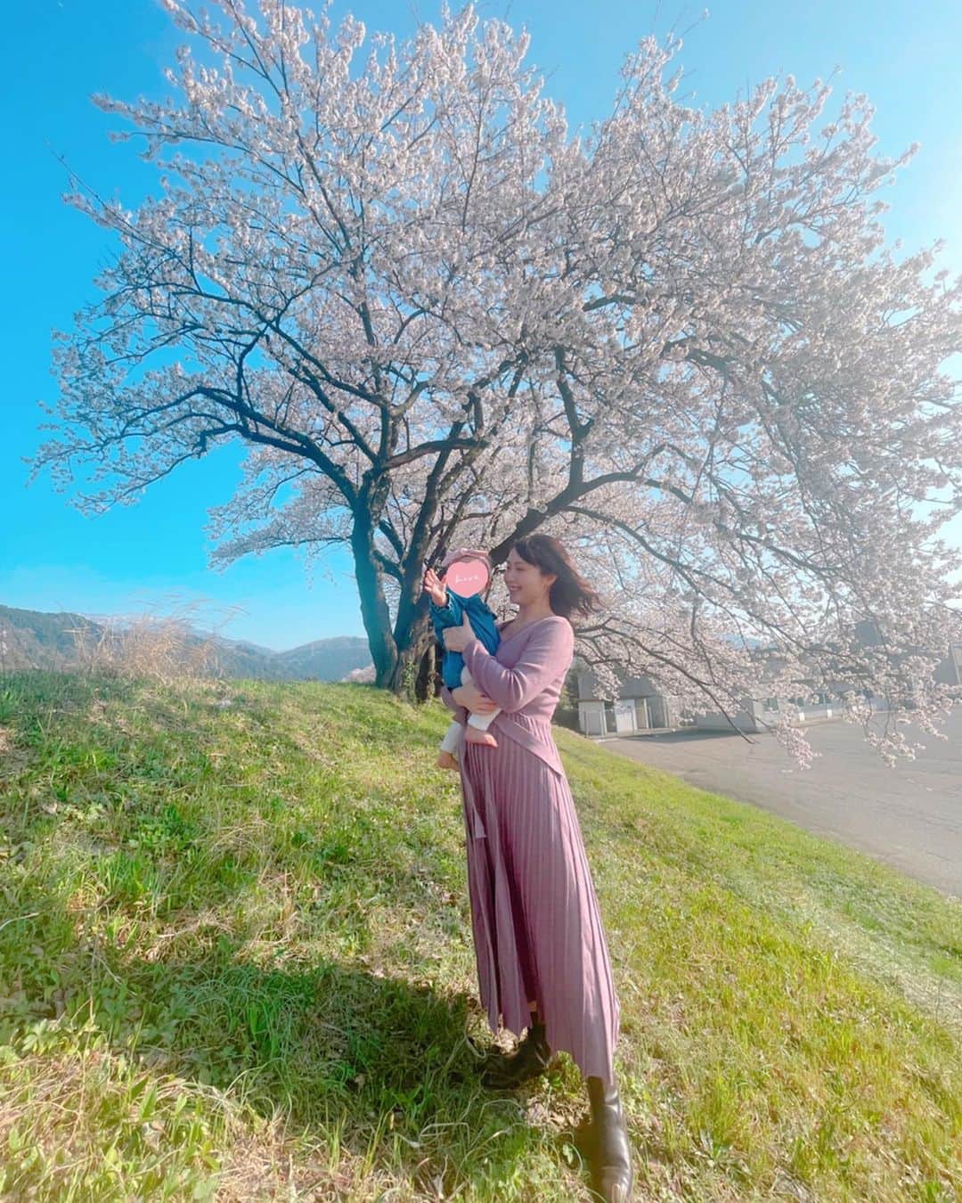 のインスタグラム：「【🌸🌸🌸】  きょうの富山、とてもいい天気☺️🌸 暖かい日も増えて いよいよ春本番って感じで嬉しいな🌷  写真はこちらも庄川の桜並木です🥰  広角の恩恵にあやかったら たまげる程の脚長写真が撮れました🤣笑  きょうはのんびり準備したら お散歩がてら選挙の投票いってから、 お出かけしよ〜〜〜🌼 皆さんはもう投票済ませましたか？✨  富山の春、いろいろなところが 花で溢れて歩くだけで楽しいよね🥰  それでは良い週末を🎵  #富山県 #砺波市 #富山 #砺波 #庄川 #桜 #お花見 #青空と桜 #広角レンズ  #脚長効果 #実物とは異なります #笑 #アナウンサー #フリーアナウンサー #南條早紀 #なんじょうのにちじょう」