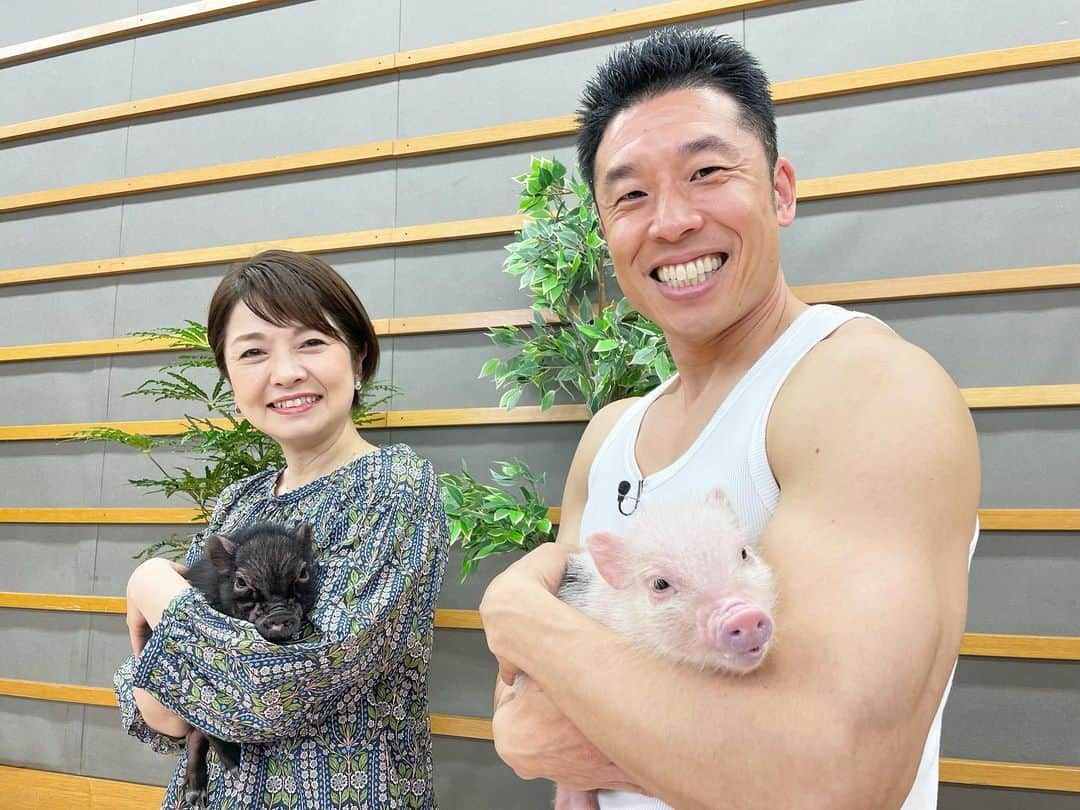 西山喜久恵のインスタグラム：「🐖 今週のキクエがキクヨ❗️のゲストは、なかやまきんに君でした。 身体を鍛える日々は、何かとストレスが溜まるそうで、そんな時可愛い😍動物達の動画を見てリラックスしているそうです。 そこで今回は、人懐っこい可愛い小さな動物と直接触れ合って頂きました。 きんに君が抱いているマイクロブタの体脂肪率は、意外にも10%でアスリート並み⁉️きんに君は、11%なので親近感が湧きより仲良しになったようです。 マイクロブタ🐖と戯れるきんに君に私は癒されました‼️  #めざましどようび #キクエがキクヨ #なかやまきんに君  #きんに君に癒された #世界一ラクなゼロパワーダイエット #マイクロブタ #フクロモモンガ」