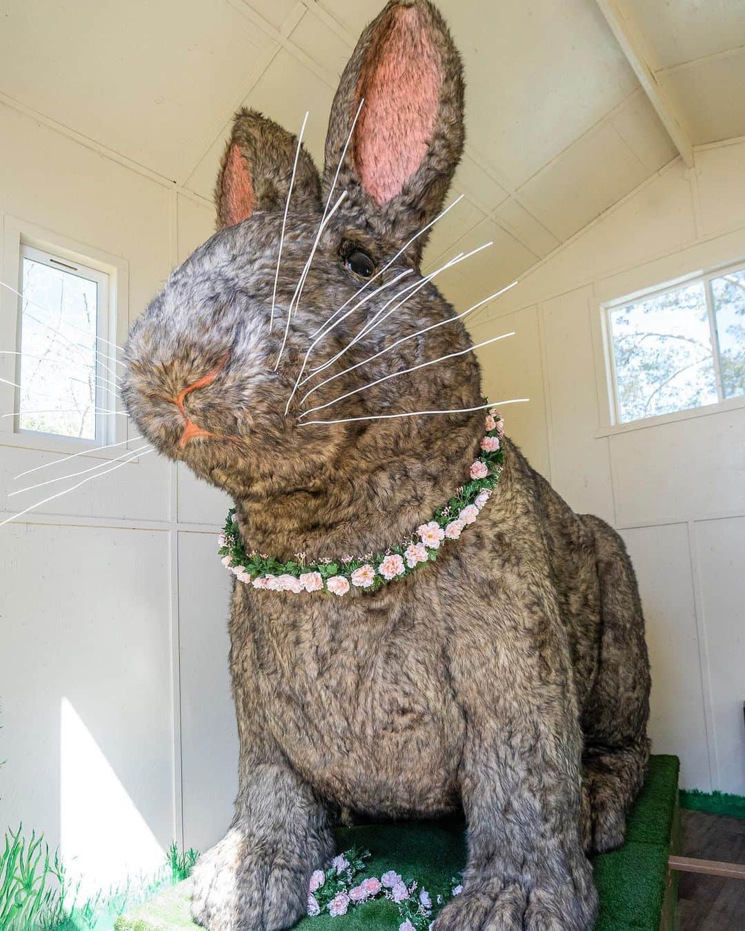 The Venetian Las Vegasのインスタグラム：「Our Lunar New Year Rabbit has found a new home, just in time for Easter! We were thrilled to be able to donate it to Barn Buddies Rescue, where it will become part of Hazel’s House for Hares, the new “rabbitat” rabbit sanctuary at The Farm.」