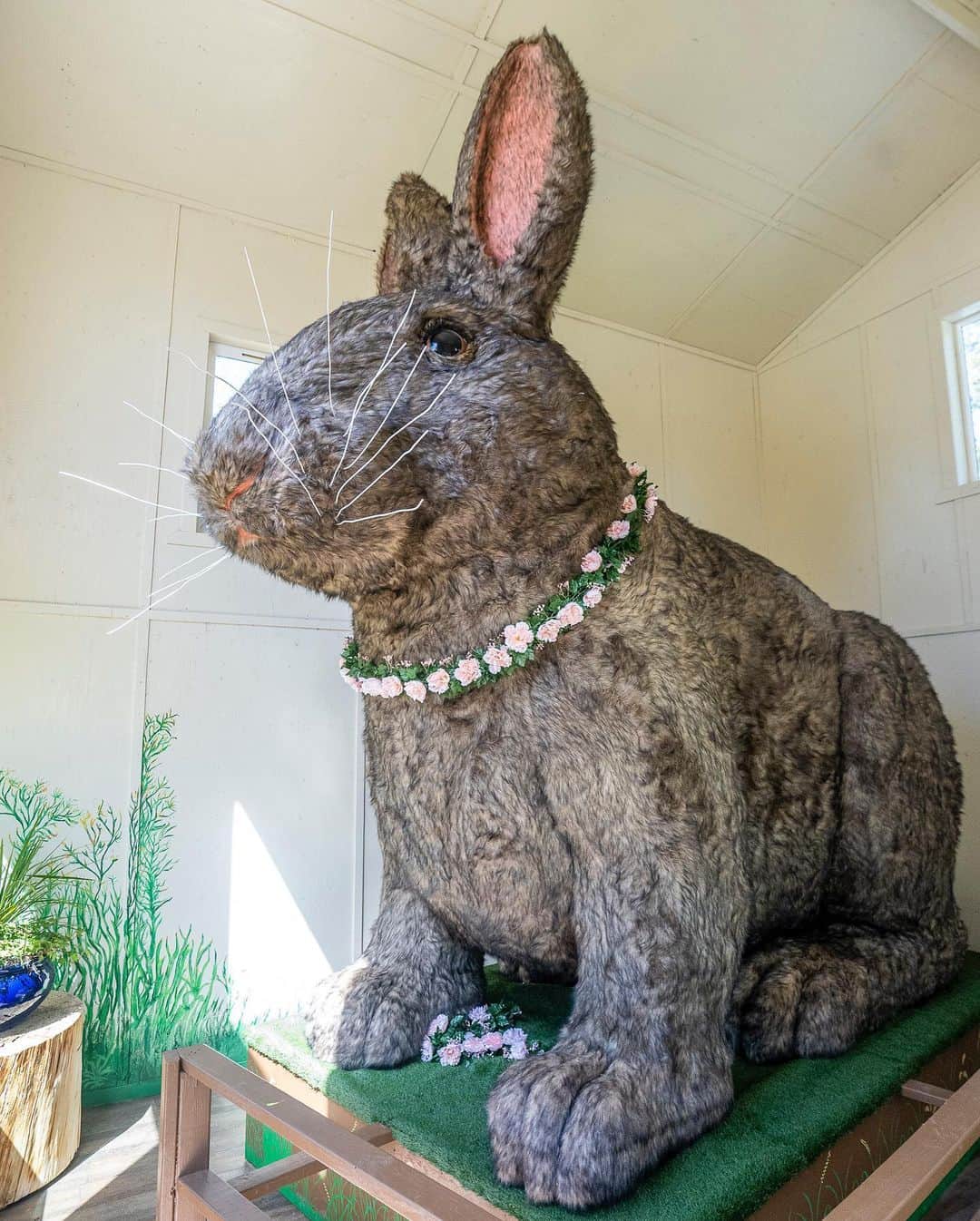 The Venetian Las Vegasさんのインスタグラム写真 - (The Venetian Las VegasInstagram)「Our Lunar New Year Rabbit has found a new home, just in time for Easter! We were thrilled to be able to donate it to Barn Buddies Rescue, where it will become part of Hazel’s House for Hares, the new “rabbitat” rabbit sanctuary at The Farm.」4月9日 3時17分 - venetianvegas
