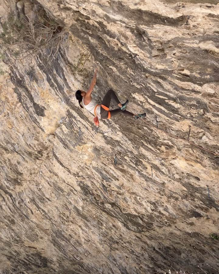 ニナ・カプレツのインスタグラム：「This week I left home direction Saint léger. I went alone, without my family, to join my friends under the clear blue sky of southern France.   It felt weird being on my one and at the same time so good! I finally recovered from my big flue, but my kidneys story is still a thing and I wonder the outcome of several blood and pi tests I did.  I was so happy spending a week outdoors, sleeping tons, eating good food and being with my friends @vikkiweldon and @tomhwright . Climbing felt hard; my body was weak and shaky. Plus someone stole my knee pads and I was on my period. But this is how life goes sometimes!  @petzl_official @scarpaspa @arcteryx   Video of a very fun 8a called Express surmarqué  Thanks to Pauline and @jeremy_bernard_photography who managed Lia and the house while I was gone. 😘」