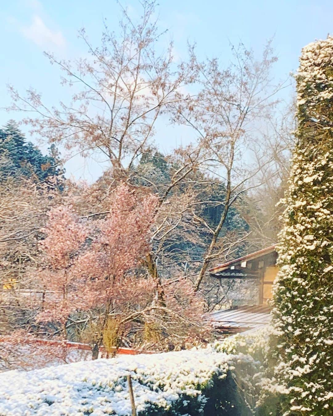 都竹悦子さんのインスタグラム写真 - (都竹悦子Instagram)「あ！  #桜散り始め　#雪は降る　#主人は昨日　#軽トラのタイヤ　#スタッドレスからノーマルへ　#替えてくれました　#四月の雪　#2023年4月9日 #市内は今日　#入学式　#桜と雪　#飛騨高山」4月9日 6時15分 - etsukotsuzuku