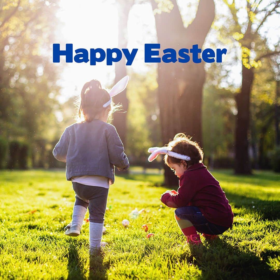 Subaru Australiaのインスタグラム：「Happy Easter from the team at Subaru🐇. We can't think of a better excuse to enjoy eggs-tra chocolate this weekend.⁣ ⁣ #SubaruAustralia ⁣」