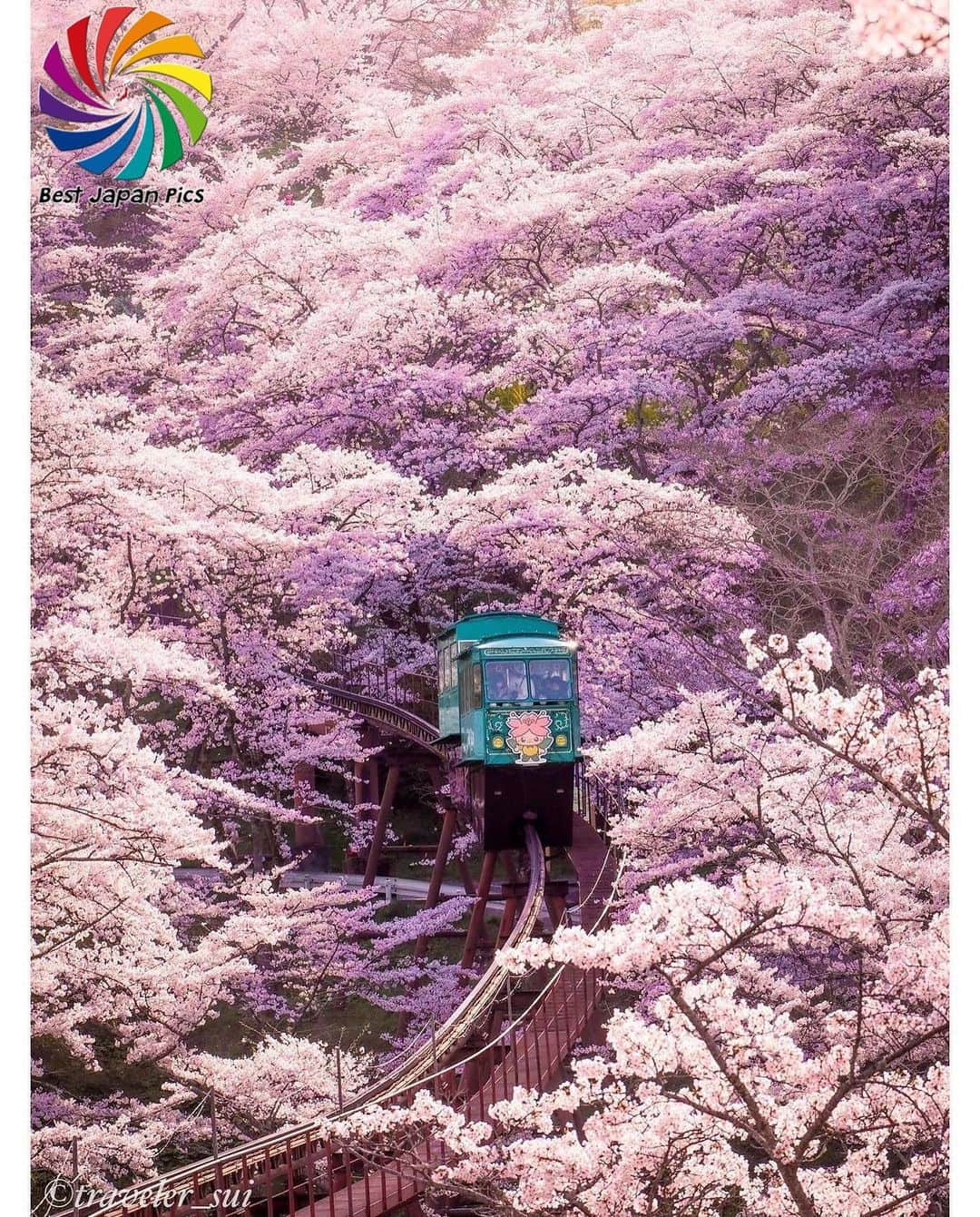 Follow & use #bestjapanpicsのインスタグラム：「＊---Today's Bestjapanpics---＊ . 👑Congrats to @traveler_sui  素敵なお写真へのタグ付けありがとうございます✨ . 📷 Select by @ig__bee (Mod) 🗾 Location : 福島県 📎 Category : #船岡城址公園  #桜 #スロープカー . . *Follow us @bestjapanpics_ . *Tag #bestjapanpics   . 撮影地の都道府県をキャプション・コメントタグ・ジオタグのいずれかに入れて下さい。 . @bestjapanpics_ では日本で撮られた素敵なお写真へのタグ付けをお待ちしています✨ . Select the amazing photos every day. ダグ付けをして頂い投稿の中から 素晴らしい写真を選出させていただきます。 . . 🤝Friend hub @factory_shotz 工場の写真 @setouchi_gram 瀬戸内の魅力を . . #japan #photo #camera #landscape #nature #portrait  #日本 #写真 #カメラ #風景 #自然 #ポートレート .」