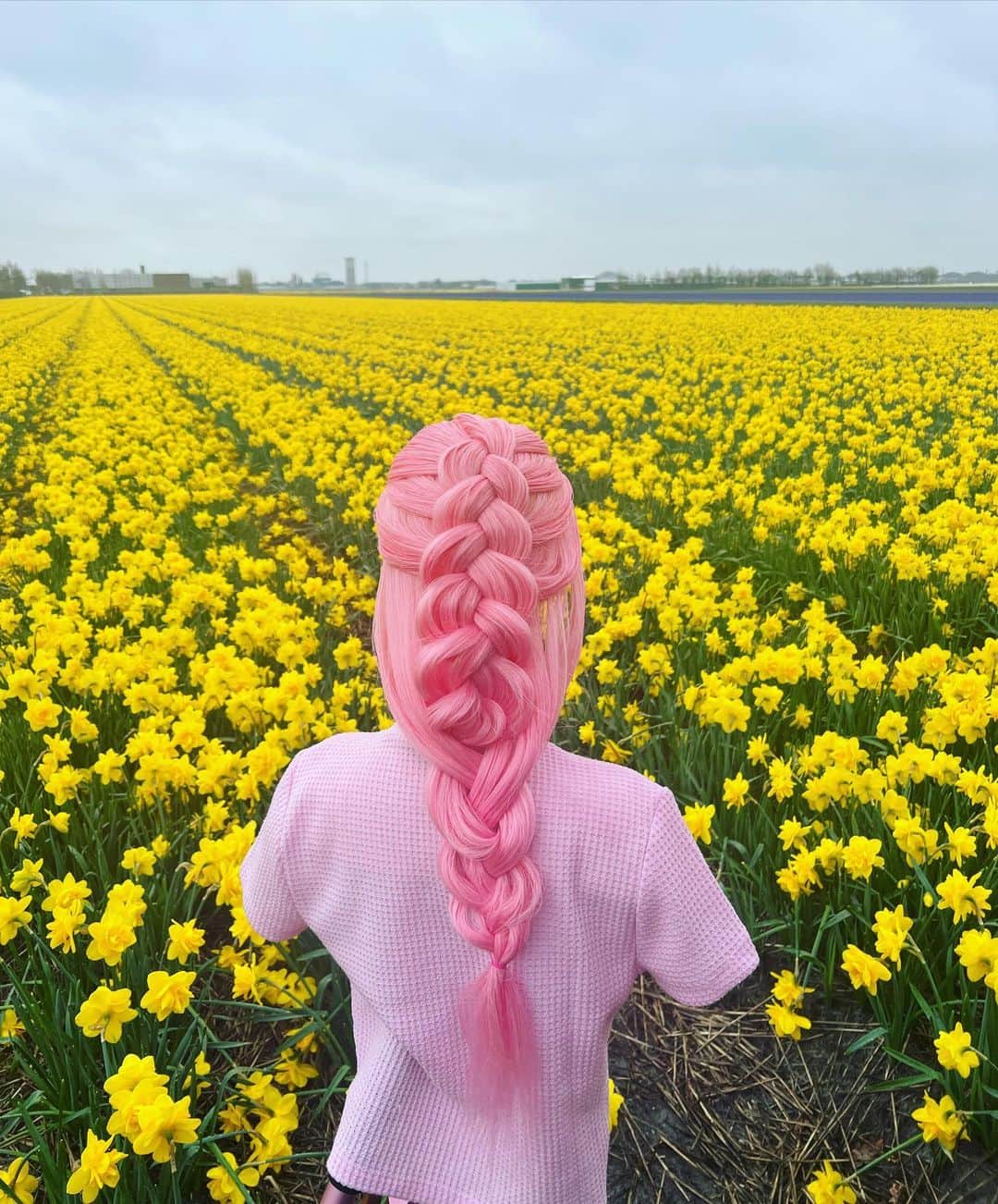 オードリナ・パトリッジさんのインスタグラム写真 - (オードリナ・パトリッジInstagram)「The Netherlands 💐 they plant 7 million bulbs each year and they bloom for just 8 weeks! It’s so beautiful and definitely worth a visit in the spring! 🌸   #amsterdam #netherlands #daffodils #pinkhair」4月9日 7時20分 - sarahpotempa