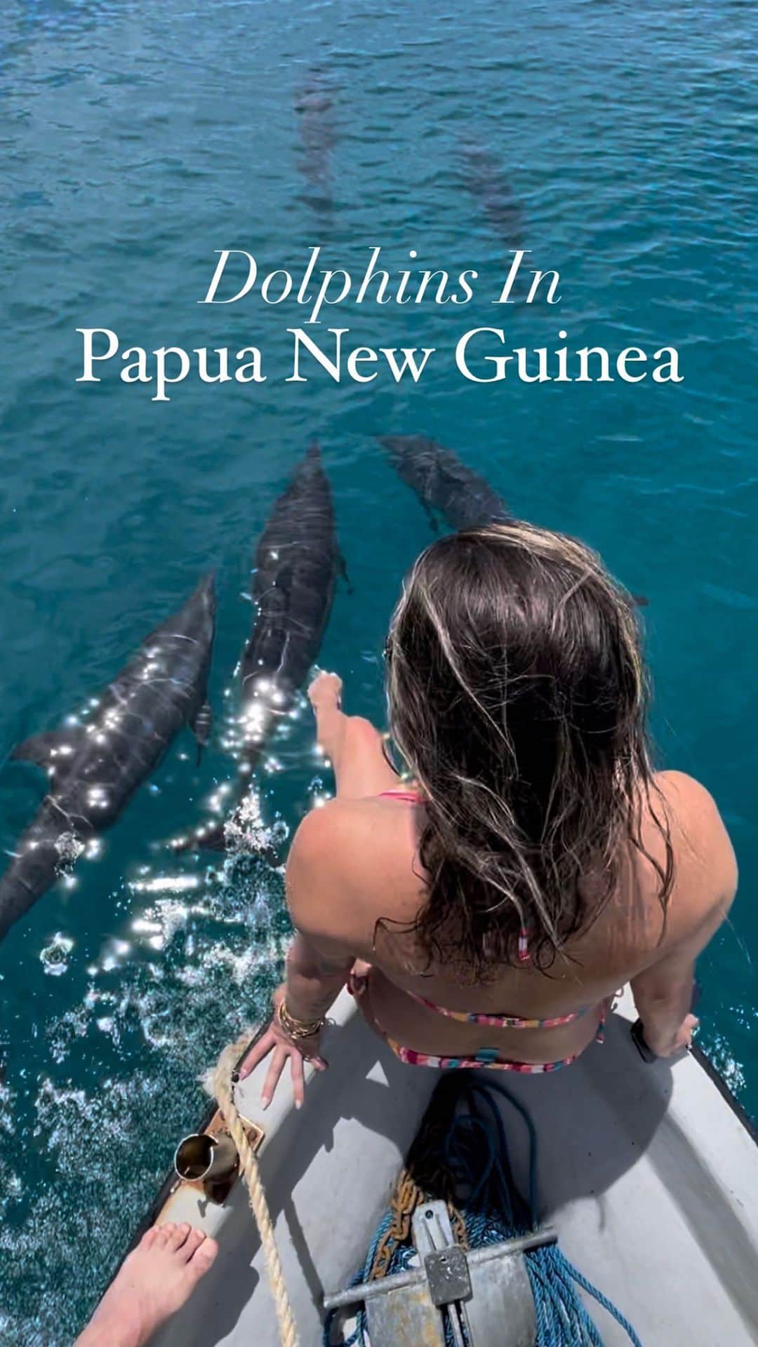 アリサ・ラモスのインスタグラム：「Papua New Guinea has just taken first place for my top destination to see wild dolphins! (Previously it was Zanzibar!)   This entire day was surreal and completely magical! I was booked on a regular tour of the Duke of York Islands (as opposed to the specific dolphin trip at 6am), and the day started out strong when I looked down and saw dozens of giant starfish on the ocean floor!  Then, we set off for the small islands, and I wasn’t expecting it at all when our guides yelled “Dolphins”!!!   Up ahead were what seemed like over a hundred dolphins jumping and flipping in the air! Naturally, I immediately wanted to put on a mask and fins and dive in, but they told me to wait and watch how they “surf” at the front of the boat, so I sat at the bow instead.  What happened next are moments I will never ever forget! There were dolphins racing right under my feet, and occasionally would jump up into the air making me turn and gasp “Did you see that?!” every five seconds!  I could have sat there for hours watching them as we drove in circles amusing both the dolphins and myself. And that was only the beginning of this perfect day! ….to be continued!  But also — they have this cool contraption where you can basically lay on a rope ladder in the water at the front of the boat with your mask and snorkel on, and “swim” with the dolphins as they surf the front of the boat! I’ve always tried free diving to keep up with them but HAHA yeah right, and this is was way more efficient 😂 Footage of it on my Stories!  More info about how to do this trip with @pngtribalfoundation coming soon, and our potential group trip to Papua New Guinea in 2024!   #papuanewguinea #eastnewbritain #kokopo #rabaul #dukeofyorkislands #mylifesatravelmovie x #pngtribalfoundation #globalcitizen #bethechange #solofemaletraveler #solofemaletravel #solotravel #dolphins」