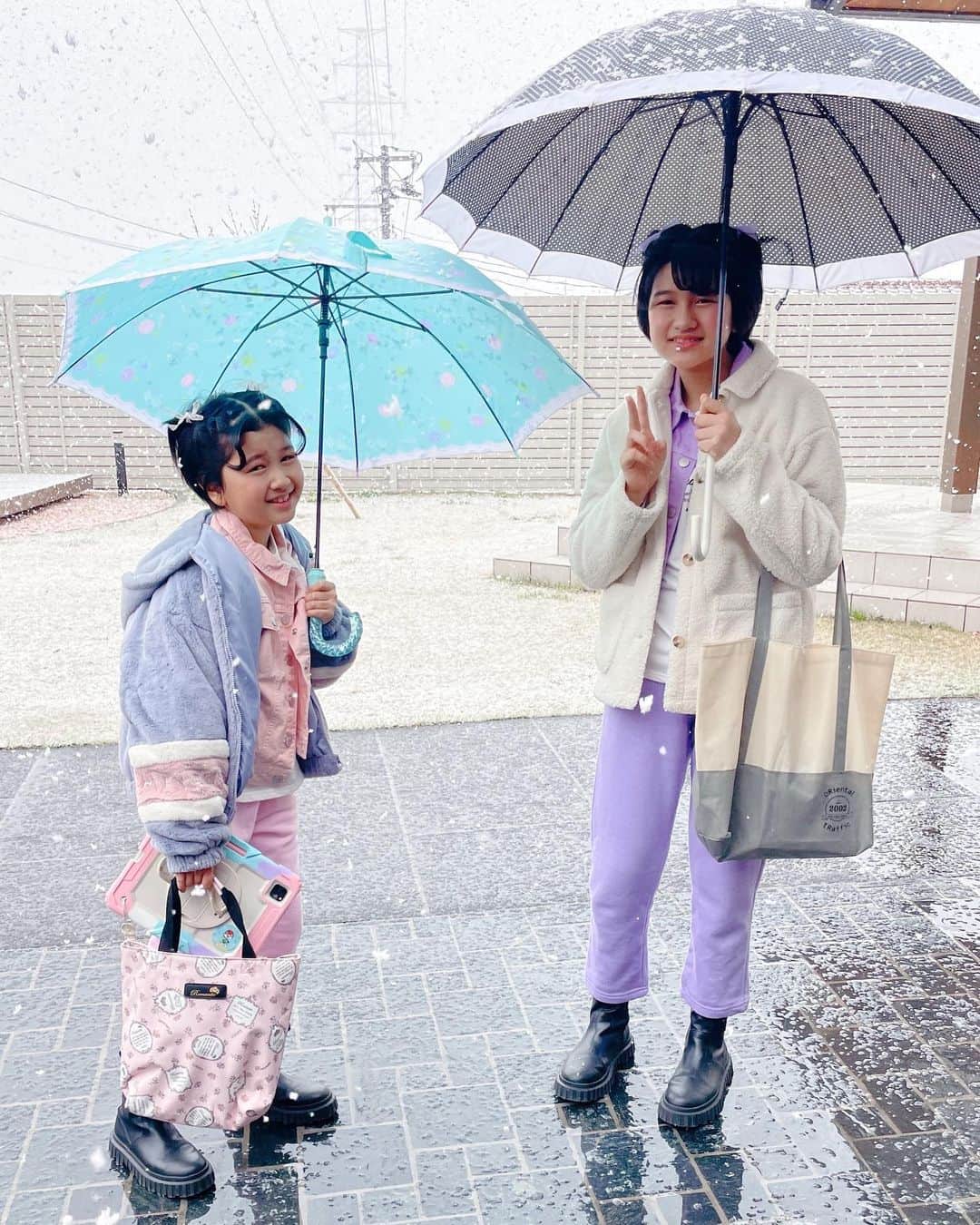 ひまわりちゃんねるさんのインスタグラム写真 - (ひまわりちゃんねるInstagram)「おはようございます！ 本日は富岡桜祭りに出演させて頂きます🥰 富岡町は晴れの天気だけど、福島は…。 ふぶきーーーーー😭 では！いってきます！！」4月9日 7時50分 - himawari_ch