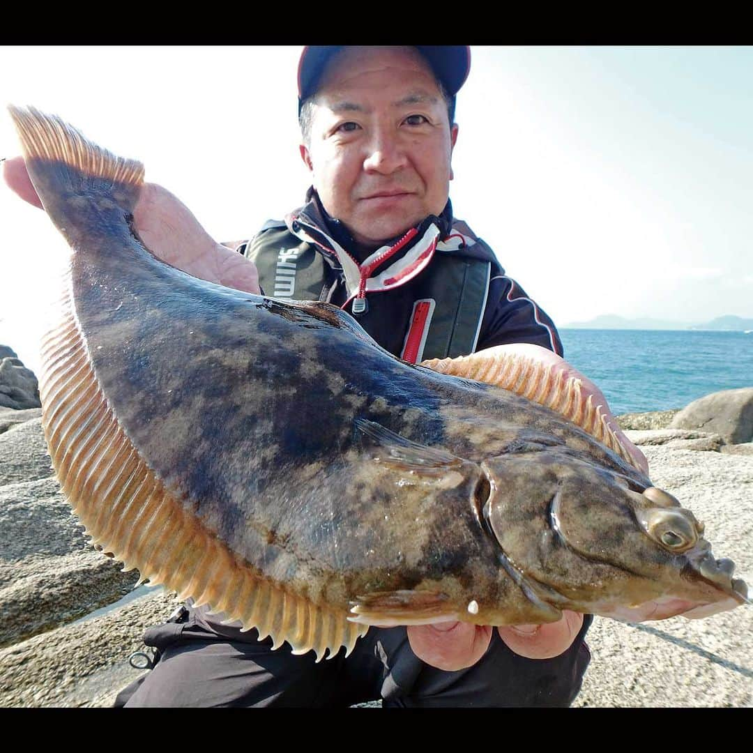 レジャーフィッシングさんのインスタグラム写真 - (レジャーフィッシングInstagram)「春の投げ釣りを楽しもう！  鳥取県境港市潮見町護岸で、キス釣り 愛媛県上島町佐島で、カレイ釣り の釣行模様を掲載しています。  カレイは花見カレイとも呼ばれているように ４月中旬ごろまで狙えます。  キスはまだまだ渋い状況ですが、 遠投して沖のカケアガリのさらに沖を狙うと 釣果が出やすいとのことです。  ◆レジャーフィッシング5月号に掲載！ 詳しい内容、その他の記事は、 ハイライト「最新号」から記事をチェック！ https://www.e-leisure.jp/book/  ◆岡山、広島、香川、愛媛、徳島、高知、 兵庫の一部、山口、福岡の主要な釣具店及び書店や Amazon等で販売しています。  ◆ご購入はこちら！ オンラインショップ【レジャーフィッシング SHOP】 https://eleisure.theshop.jp/items/72885285  #愛媛 #上島町 #瀬戸内海 #投げ釣り #鳥取 #境港 #境水道 #日本海 #カレイ #キス #花見カレイ #春の釣り #レジャーフィッシング #釣り #海釣り」4月9日 18時00分 - leisurefishing