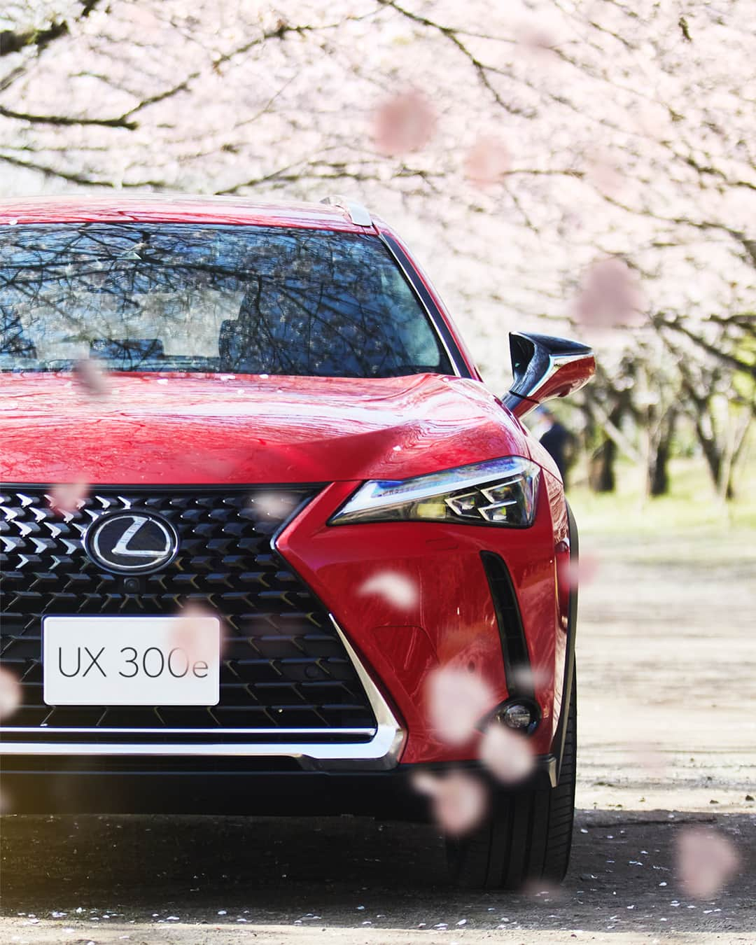 LEXUS / レクサスのインスタグラム：「Lexus Sakura week day7  舞い散る花片を、心に留めて。  #Lexus #LexusUX300e #UX300e #lexusgram #lexuslife #lexusjpphotography  #SUV #BEV #carsofinstagram #carlifestyle #carphotography  #LexusGallery #drive #redcar #luxury #lexusnation #dailylexus #carlovers #carlove #carscene #caraddict #carculture #automobiles #fastcar #carnews #carcollection #nicecar #instacars #automotivephotographer」