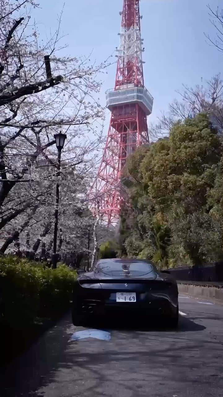 Ferrari APACのインスタグラム：「Experience #Japan in full bloom with the #FerrariRoma.   #LaNuovaDolceVita #Tokyo #Ferrari #FerrariAPAC」