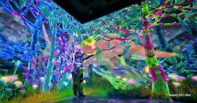 荒木さやかのインスタグラム：「" 🦖 " @teamlab の新コンテンツ！ "捕まえて集める恐竜の森"の内覧会にお邪魔してきたよ🦖 Galaxyの携帯で恐竜を捕まえるんだけど、ハマって1時間ぐらいいた😂そして画質良すぎ👏🏾 thank you♡ @ghani.teamlab 🙏🏽✨」