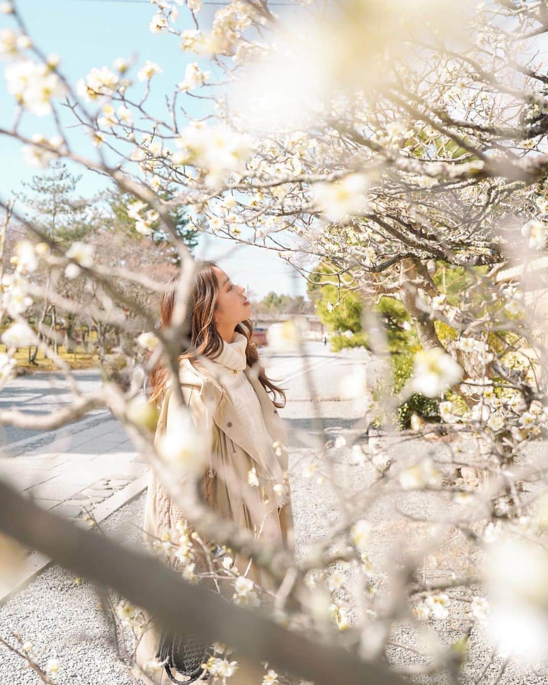 のインスタグラム：「spring ✨🌸🏔️🌱🇯🇵  暖かくなってきていろんな花が咲いて、 木々に緑が戻っていくのが嬉しいね〜🧡」