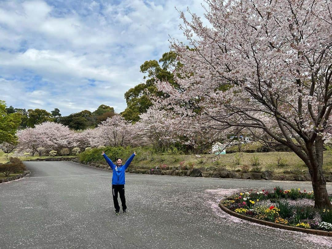 志田千陽さんのインスタグラム写真 - (志田千陽Instagram)「. 春が過ぎて花が散っても、夢は繰り返しここに咲くはず 🤍」4月9日 18時10分 - _chiharushida_