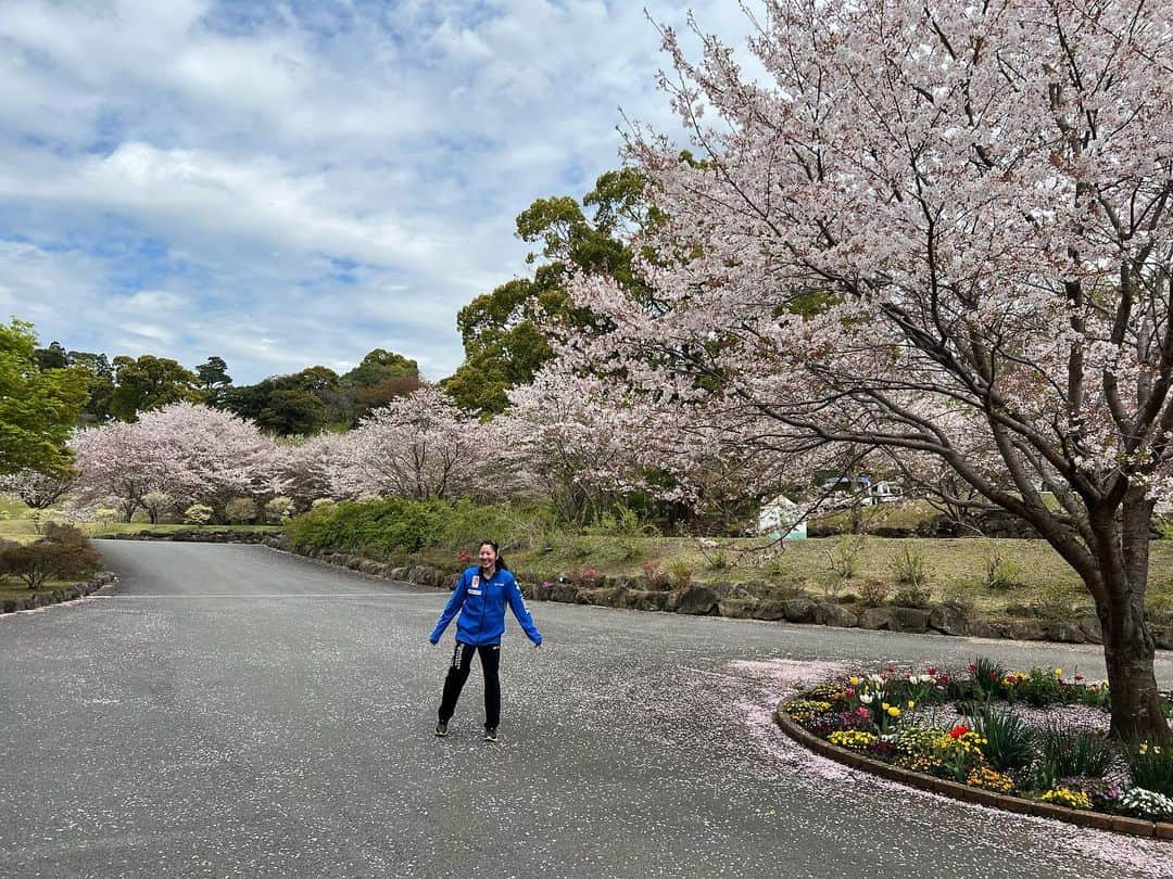 のインスタグラム：「. 春が過ぎて花が散っても、夢は繰り返しここに咲くはず 🤍」