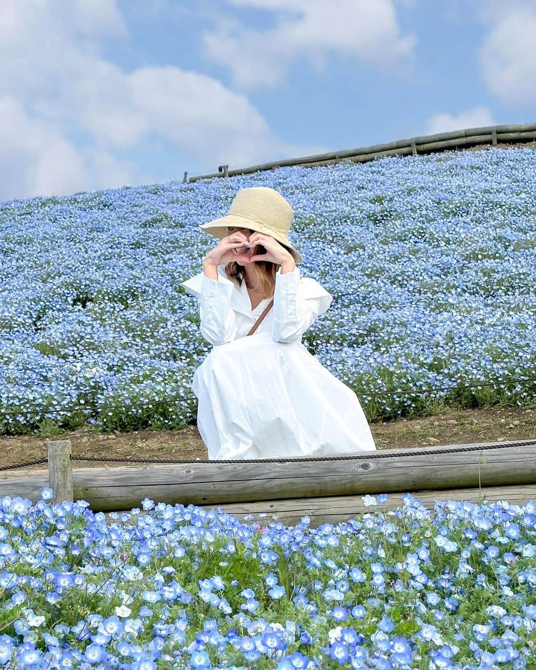 RIEさんのインスタグラム写真 - (RIEInstagram)「【 茨城 / @hitachikaihin 】 ⁡ 今日は朝から小学生の頃からの恒例行事🌈 茨城県のネモフィラ畑に行ってきました💠🩵 ⁡  例年よりも少し早めの満開がシーズンを迎えるそうで 一番のベストシーズンは来週4月15日頃みたい📅  ⁡ この青空へ繋がっているかのような☁️ 一面に広がるスカイブルーのネモフィラ絨毯は 言葉にできない息を飲むような美しさなので 行ったことない人は一度訪れてみてほしい🥹💎 ⁡ ネモフィラ以外にも屋台が出ていたり チューリップ畑や湖、遊具や小さな遊園地🎡もあって 子連れの方や犬連れの方もたくさん来てました🐕 ⁡  👉🏼 園内に咲いてるお花たちもまとめてみたので [保存]して是非参考にしてみてください🌷🎨  ⁡ ⁡ ~~~~~~~~~~~~~~~~~~~~~~~~ ☑︎ 国営ひたち海浜公園 ☑︎ 3月1日〜7月20日 9:30〜17:00 ~~~~~~~~~~~~~~~~~~~~~~~~ ⁡ ⁡ ⁡  #ひたち海浜公園 #国営ひたち海浜公園 #ひたち海浜公園と私 #ネモフィラ #ネモフィラ畑 #ネモフィラブルー #ネモフィラ祭り #ネモフィラの丘 #茨城旅行 #茨城観光 #日本の絶景 #絶景スポット #rietabi_trip #rietabi_ibaraki #nemophila #ibarakiprefecture #japantravel #꽃밭 #꽃밭에서」4月9日 18時36分 - rie_tabi