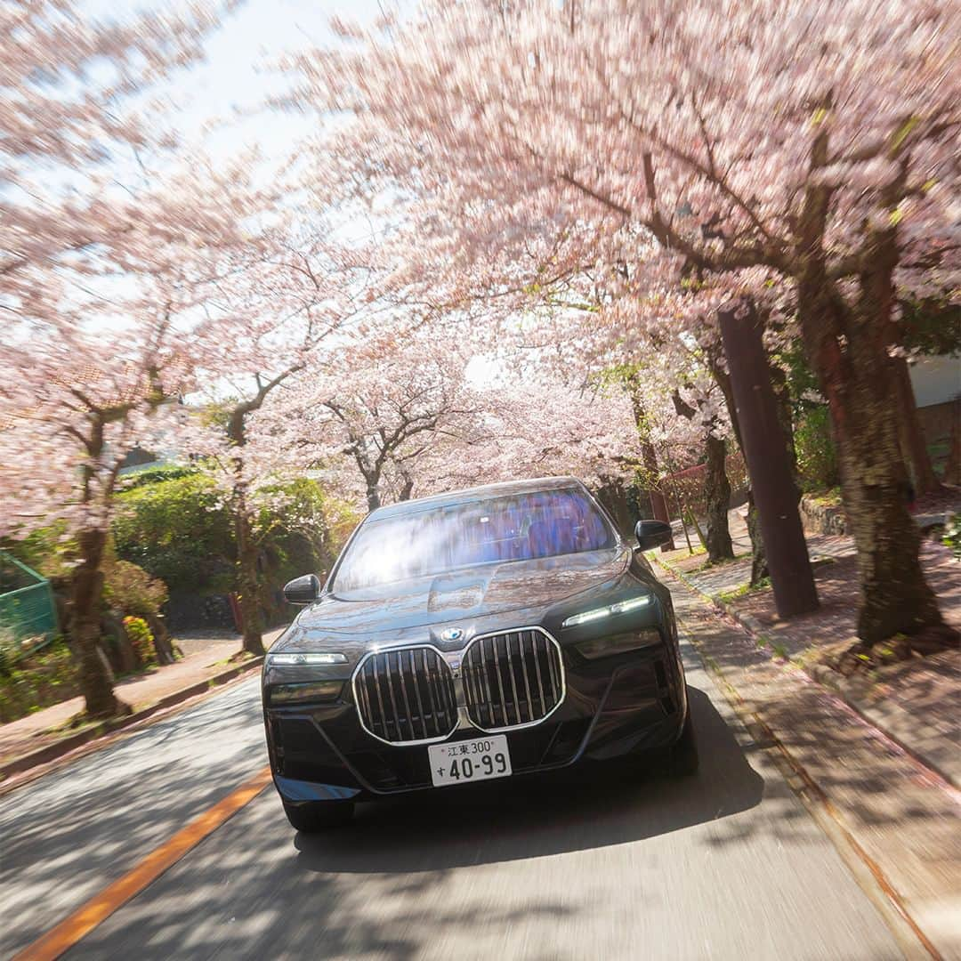 BMW Japanさんのインスタグラム写真 - (BMW JapanInstagram)「BMW7シリーズと桜を巡る、 春のドライブ。  #FORWARDISM #BMW #駆けぬける歓び #BMWJapan #BMW740i #BMWSAKURA #cherryblossom #桜」4月9日 19時00分 - bmwjapan