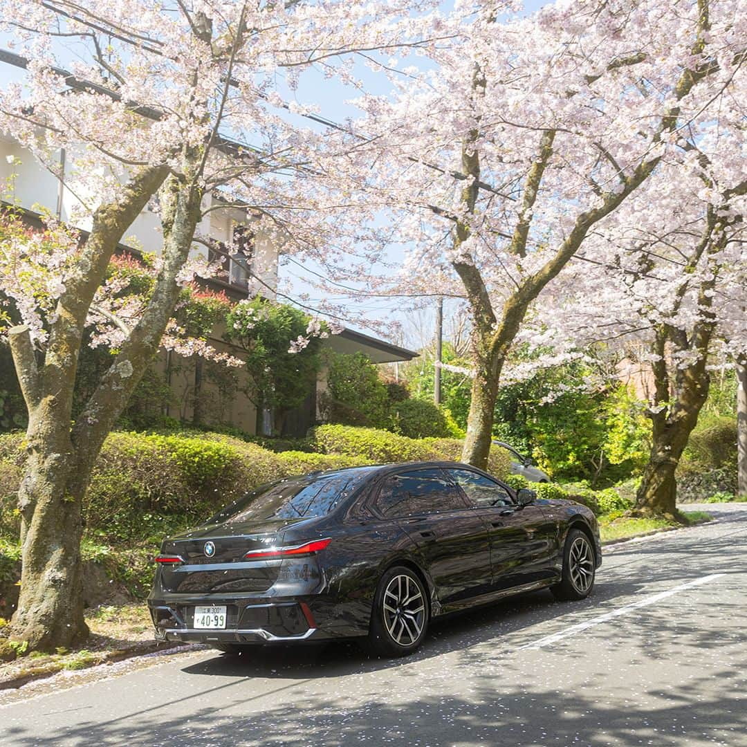 BMW Japanさんのインスタグラム写真 - (BMW JapanInstagram)「BMW7シリーズと桜を巡る、 春のドライブ。  #FORWARDISM #BMW #駆けぬける歓び #BMWJapan #BMW740i #BMWSAKURA #cherryblossom #桜」4月9日 19時00分 - bmwjapan