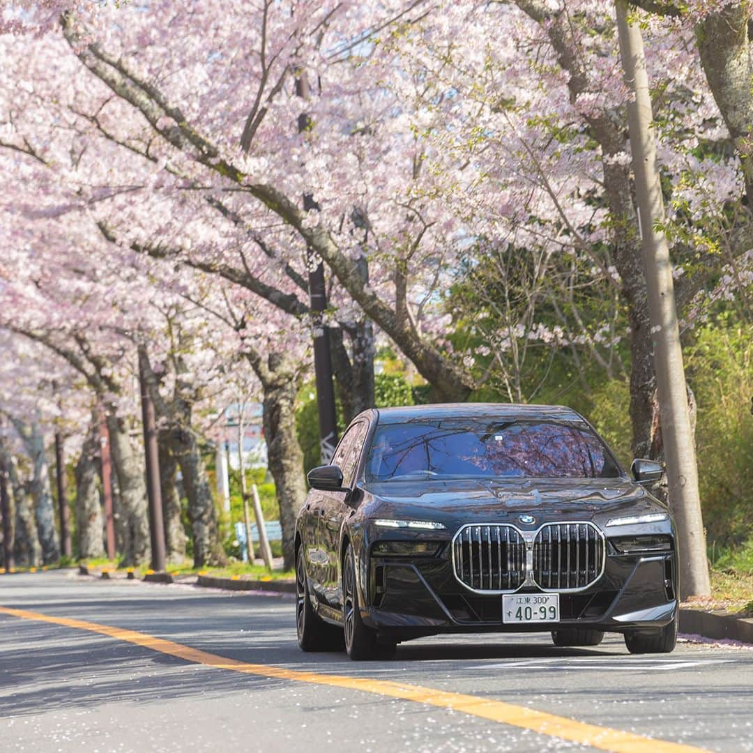 BMW Japanさんのインスタグラム写真 - (BMW JapanInstagram)「BMW7シリーズと桜を巡る、 春のドライブ。  #FORWARDISM #BMW #駆けぬける歓び #BMWJapan #BMW740i #BMWSAKURA #cherryblossom #桜」4月9日 19時00分 - bmwjapan