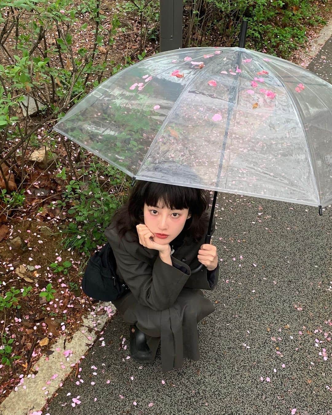 のインスタグラム：「벚꽃우산」