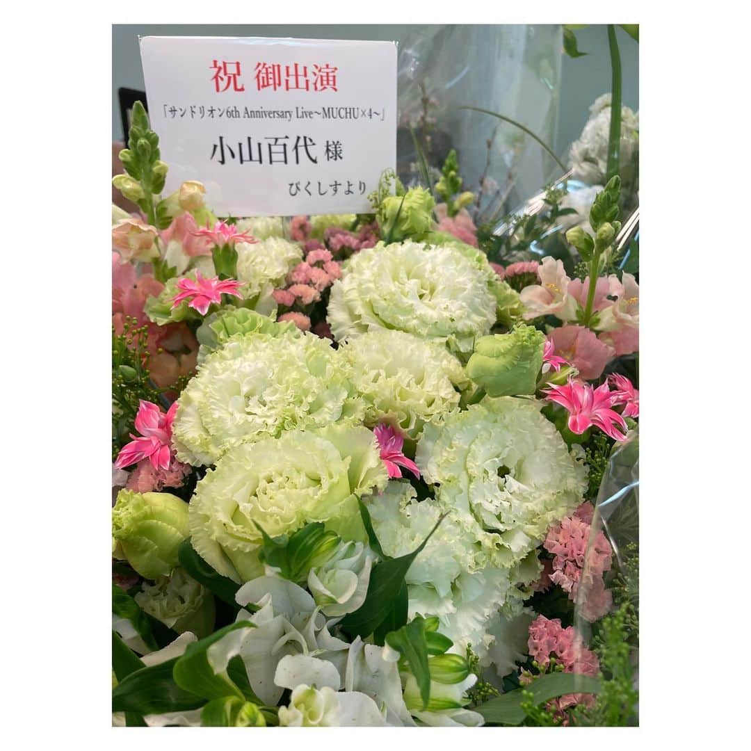 小山百代さんのインスタグラム写真 - (小山百代Instagram)「・ ・ ・ ・ 💐6thワンマン楽屋花②💐  💚みやぎさん💚 6って！お花で！しゅごい…  💚まいこさん💚 桜！春らしくて可愛いっ！  💚ぴくしすさん💚 ピンクの差し色が好きっっ！  💚吹風さん💚 💚ももかさん💚 ギュギュッと気持ちが伝わる！  💚ちょうゆきさん💚 美しすぎるー！ちゅき！  💚ゆすさん💚 かすみそう…！愛くるしい…！  💚るぺおさん💚 可愛いの大盛りですっ！  皆の愛と優しさが エネルギーになっています！ 綺麗で愛おしいお花たちを 贈ってくれて本当に本当〜に ありがとうございました💐💚  (載せるの遅くなってごめんね🙇🏻) ・ ・ ・ #サンドリオン　 #小山百代  #楽屋花」4月9日 10時28分 - koyamamomoyo_official