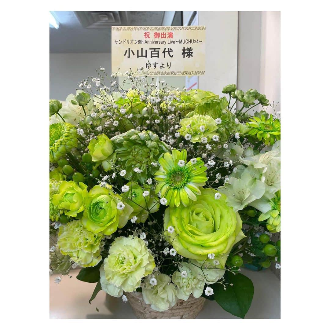 小山百代さんのインスタグラム写真 - (小山百代Instagram)「・ ・ ・ ・ 💐6thワンマン楽屋花②💐  💚みやぎさん💚 6って！お花で！しゅごい…  💚まいこさん💚 桜！春らしくて可愛いっ！  💚ぴくしすさん💚 ピンクの差し色が好きっっ！  💚吹風さん💚 💚ももかさん💚 ギュギュッと気持ちが伝わる！  💚ちょうゆきさん💚 美しすぎるー！ちゅき！  💚ゆすさん💚 かすみそう…！愛くるしい…！  💚るぺおさん💚 可愛いの大盛りですっ！  皆の愛と優しさが エネルギーになっています！ 綺麗で愛おしいお花たちを 贈ってくれて本当に本当〜に ありがとうございました💐💚  (載せるの遅くなってごめんね🙇🏻) ・ ・ ・ #サンドリオン　 #小山百代  #楽屋花」4月9日 10時28分 - koyamamomoyo_official