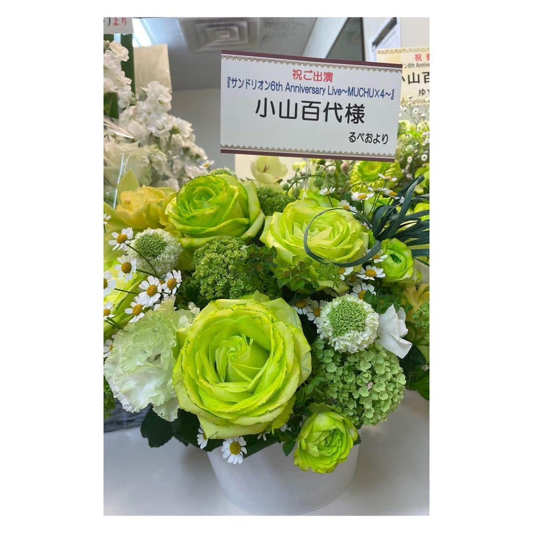 小山百代さんのインスタグラム写真 - (小山百代Instagram)「・ ・ ・ ・ 💐6thワンマン楽屋花②💐  💚みやぎさん💚 6って！お花で！しゅごい…  💚まいこさん💚 桜！春らしくて可愛いっ！  💚ぴくしすさん💚 ピンクの差し色が好きっっ！  💚吹風さん💚 💚ももかさん💚 ギュギュッと気持ちが伝わる！  💚ちょうゆきさん💚 美しすぎるー！ちゅき！  💚ゆすさん💚 かすみそう…！愛くるしい…！  💚るぺおさん💚 可愛いの大盛りですっ！  皆の愛と優しさが エネルギーになっています！ 綺麗で愛おしいお花たちを 贈ってくれて本当に本当〜に ありがとうございました💐💚  (載せるの遅くなってごめんね🙇🏻) ・ ・ ・ #サンドリオン　 #小山百代  #楽屋花」4月9日 10時28分 - koyamamomoyo_official