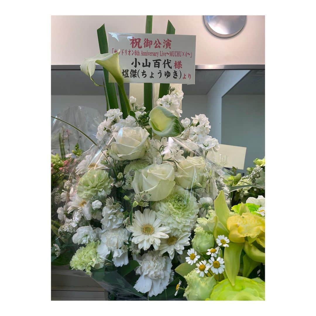 小山百代さんのインスタグラム写真 - (小山百代Instagram)「・ ・ ・ ・ 💐6thワンマン楽屋花②💐  💚みやぎさん💚 6って！お花で！しゅごい…  💚まいこさん💚 桜！春らしくて可愛いっ！  💚ぴくしすさん💚 ピンクの差し色が好きっっ！  💚吹風さん💚 💚ももかさん💚 ギュギュッと気持ちが伝わる！  💚ちょうゆきさん💚 美しすぎるー！ちゅき！  💚ゆすさん💚 かすみそう…！愛くるしい…！  💚るぺおさん💚 可愛いの大盛りですっ！  皆の愛と優しさが エネルギーになっています！ 綺麗で愛おしいお花たちを 贈ってくれて本当に本当〜に ありがとうございました💐💚  (載せるの遅くなってごめんね🙇🏻) ・ ・ ・ #サンドリオン　 #小山百代  #楽屋花」4月9日 10時28分 - koyamamomoyo_official