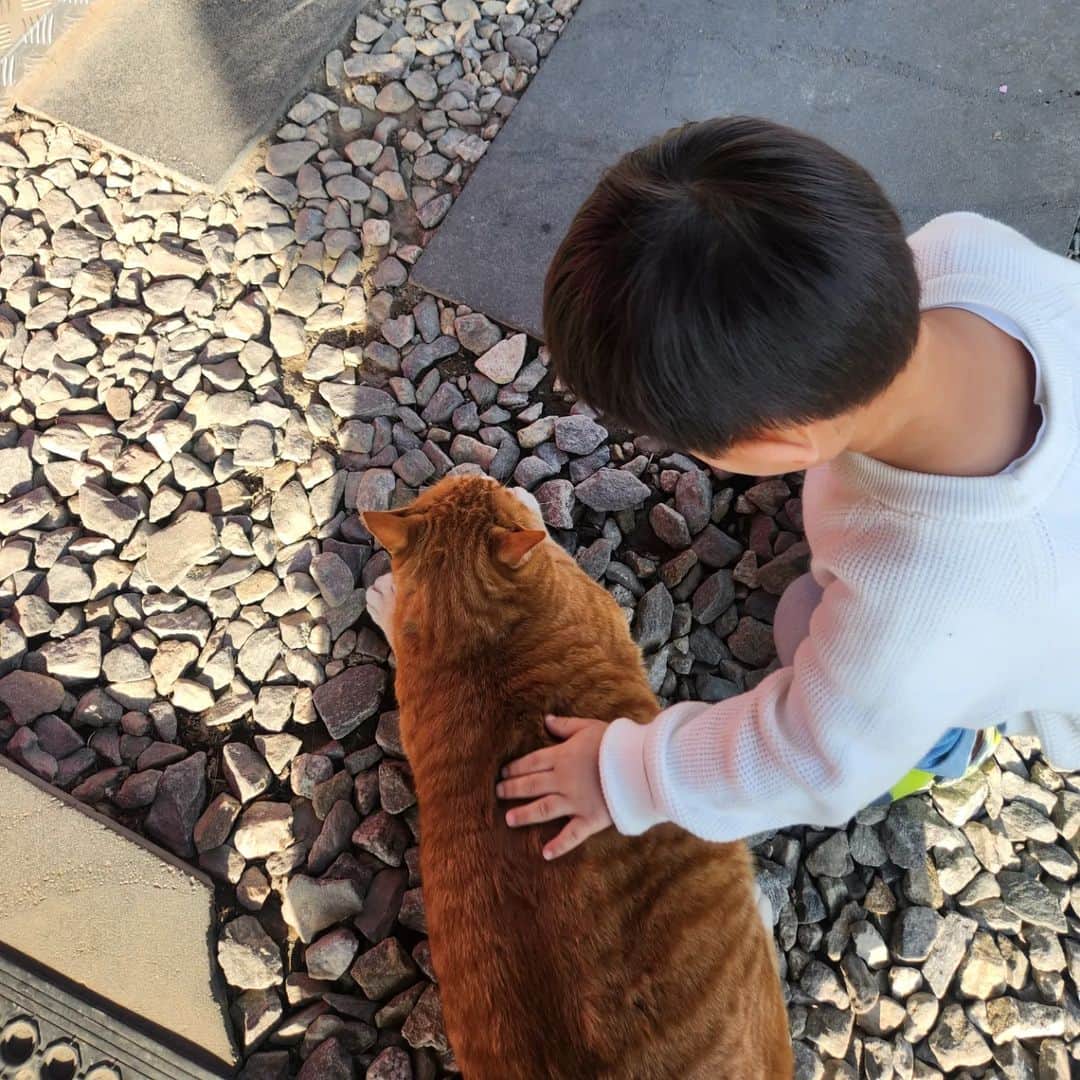 ユ・ハナのインスタグラム：「나의 힐링 👶🐈⛅️👩‍❤️‍👨🥢🥤  마지막사진은 #충전중이니 #방전됐니 @kikidohun」