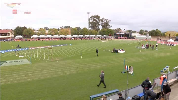 NANA OWUSU-AFRIYIEのインスタグラム：「Day 2 of @stawellgift loved chatting with OLY @jessicaahull @7sportau」