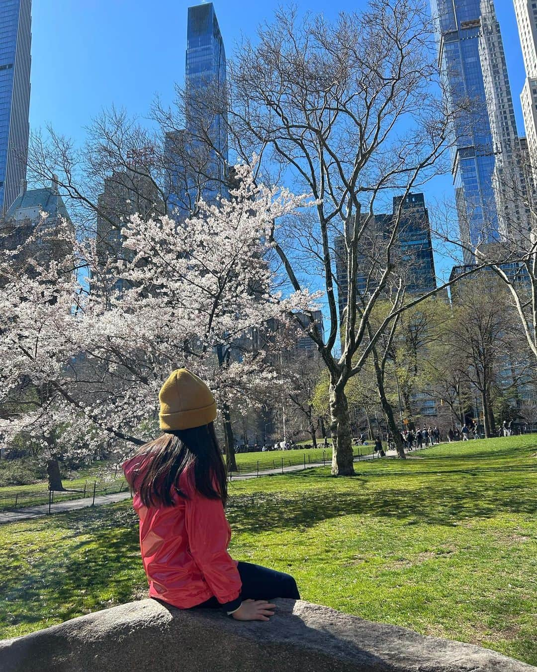 中岡由佳さんのインスタグラム写真 - (中岡由佳Instagram)「❇︎ 2023.04.02 春のセントラルパーク🌸ヘックシャー・プレイグラウンドで遊びながら、アンパイア・ロック（露頭している大きな岩盤）に登ったりして、自然の中で思い切り体を動かせる🙌天気のいい日なら芝生に座ってのんびりしたり、ジョギングしたり、1日ピクニックしながら過ごしたい🧺こんな場所が家の近くにあったら最高だな🌳 #centralpark  #cherryblossom #hecksherplayground  #umpirerock #nyc」4月9日 11時16分 - yuka_nakaoka