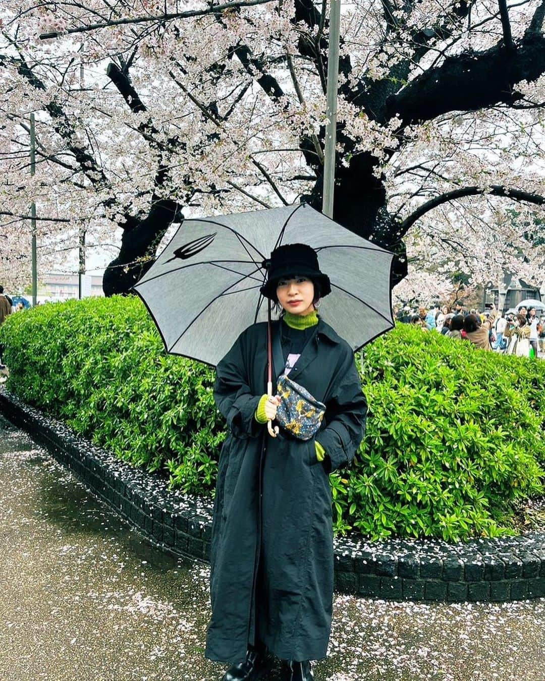 ヒグチアイさんのインスタグラム写真 - (ヒグチアイInstagram)「今年は見れた桜たち。去年はコロナになってましたね…そういえば。一昨年は舞台で大忙しだったし。  桜が咲いて、舞って、散って、思い出すことはなんですか？  あと緑のハイネック着すぎじゃないですか？めちゃ使いやすくて重宝しております。 @sly_official」4月9日 11時48分 - higuchiai.1128