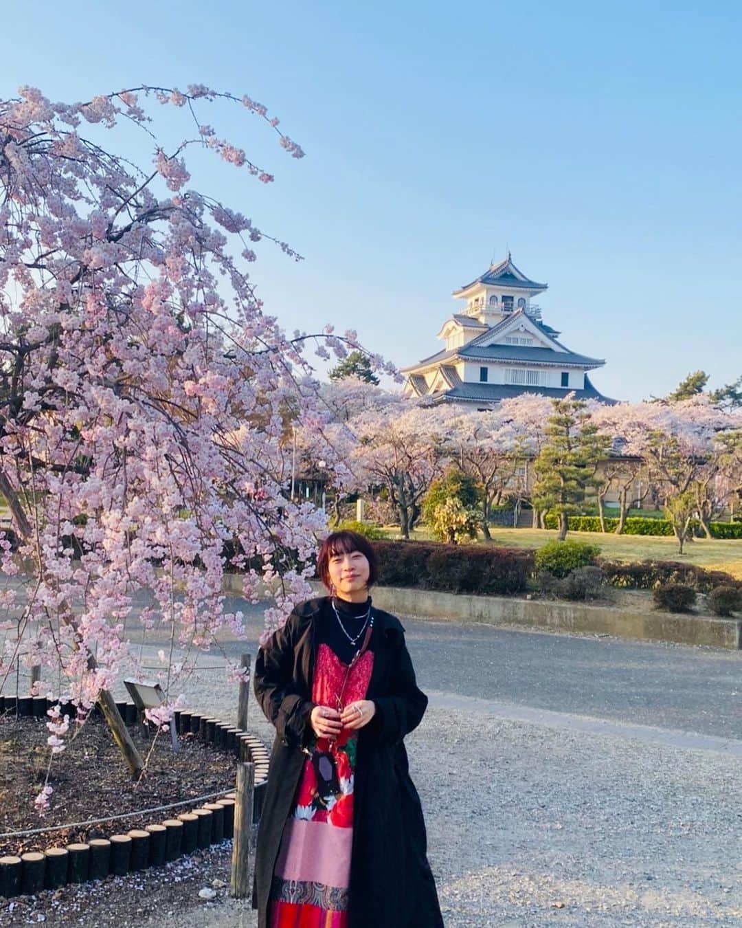 ヒグチアイのインスタグラム：「今年は見れた桜たち。去年はコロナになってましたね…そういえば。一昨年は舞台で大忙しだったし。  桜が咲いて、舞って、散って、思い出すことはなんですか？  あと緑のハイネック着すぎじゃないですか？めちゃ使いやすくて重宝しております。 @sly_official」
