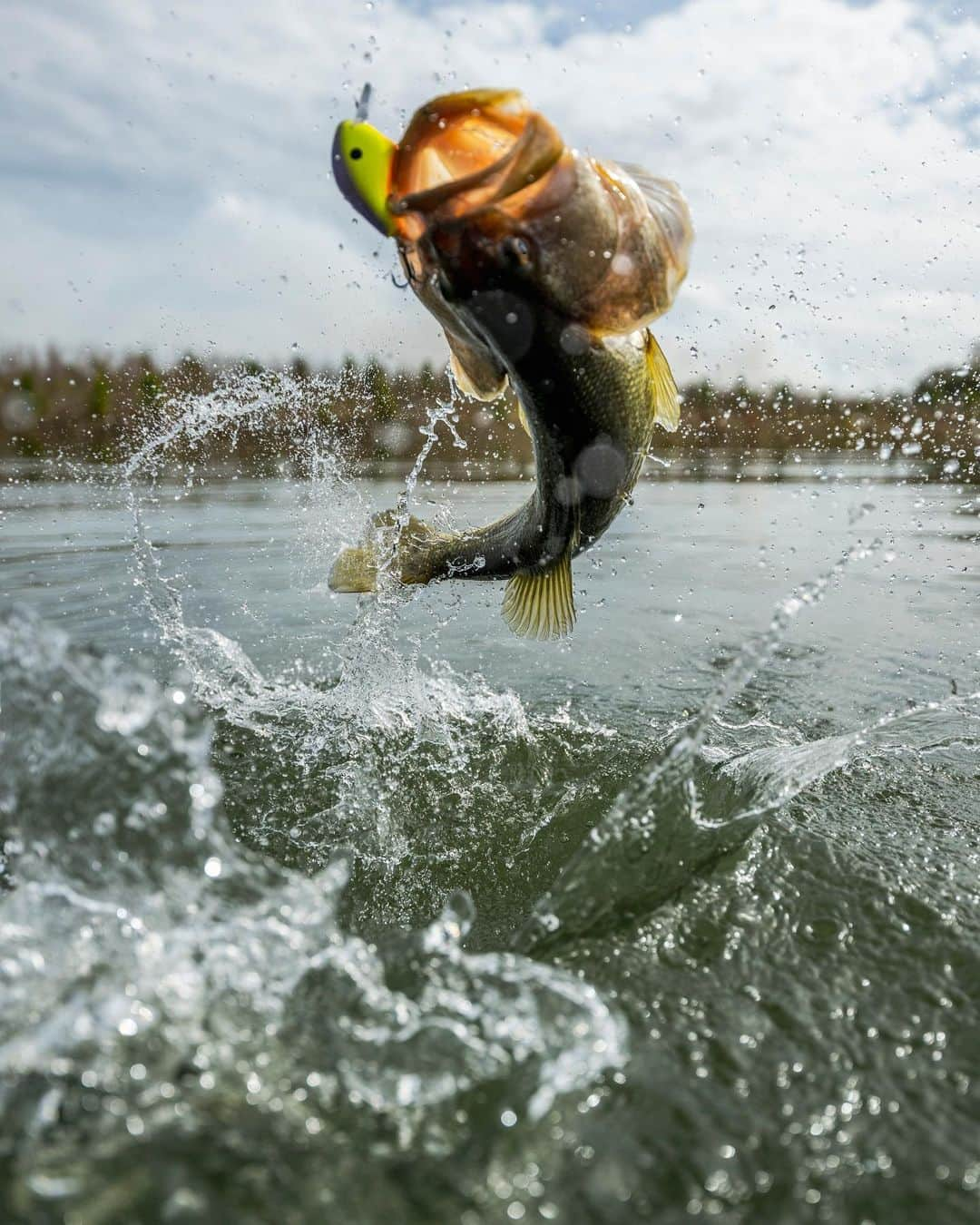 シマノ｜Fishingのインスタグラム：「Cranking up to cruising altitude.  #FishShimano #Macbeth #ShimanoMacbeth #ShimanoLures #BassLures #BassFishing #CatchAndRelease #BassNation」