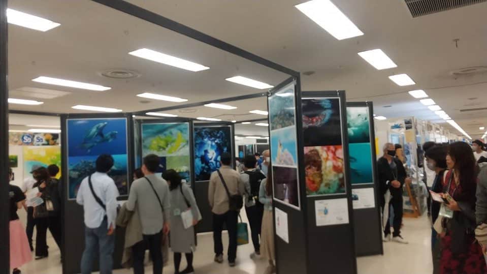 【公式】東京コミュニケーションアート専門学校ECOさんのインスタグラム写真 - (【公式】東京コミュニケーションアート専門学校ECOInstagram)「マリンダイビングフェア2023🌟 池袋サンシャインシティで開催中🤿🐠🐬就職した卒業生さんたちも頑張ってまーす‼️ #tcaeco #tca東京eco動物海洋専門学校 #マリンダイビングフェア #海洋 #ダイビング」4月9日 12時00分 - tca_eco