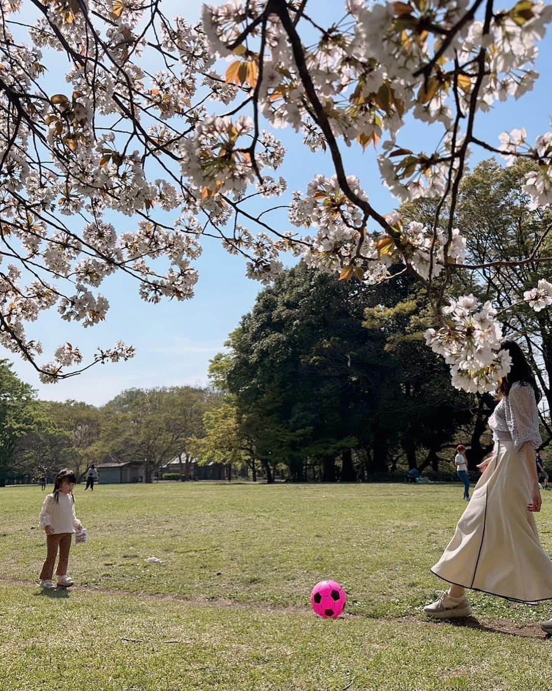 伊藤友里さんのインスタグラム写真 - (伊藤友里Instagram)「かけこみお花見🌸🌸  いつも思い立つのがぎりぎりで 毎年のように葉桜を楽しんでいます😂🫶  でも花びらがヒラヒラこの時期も素敵☺️✨ 娘も雪ー！と喜んでいました(ちがう)  親子でハマっている「エビカニクス」を踊ったりボール遊びをしたりいい一日でした🦐🦀  #お花見 #砧公園 #エビカニクス」4月9日 12時21分 - ito_yuri_official